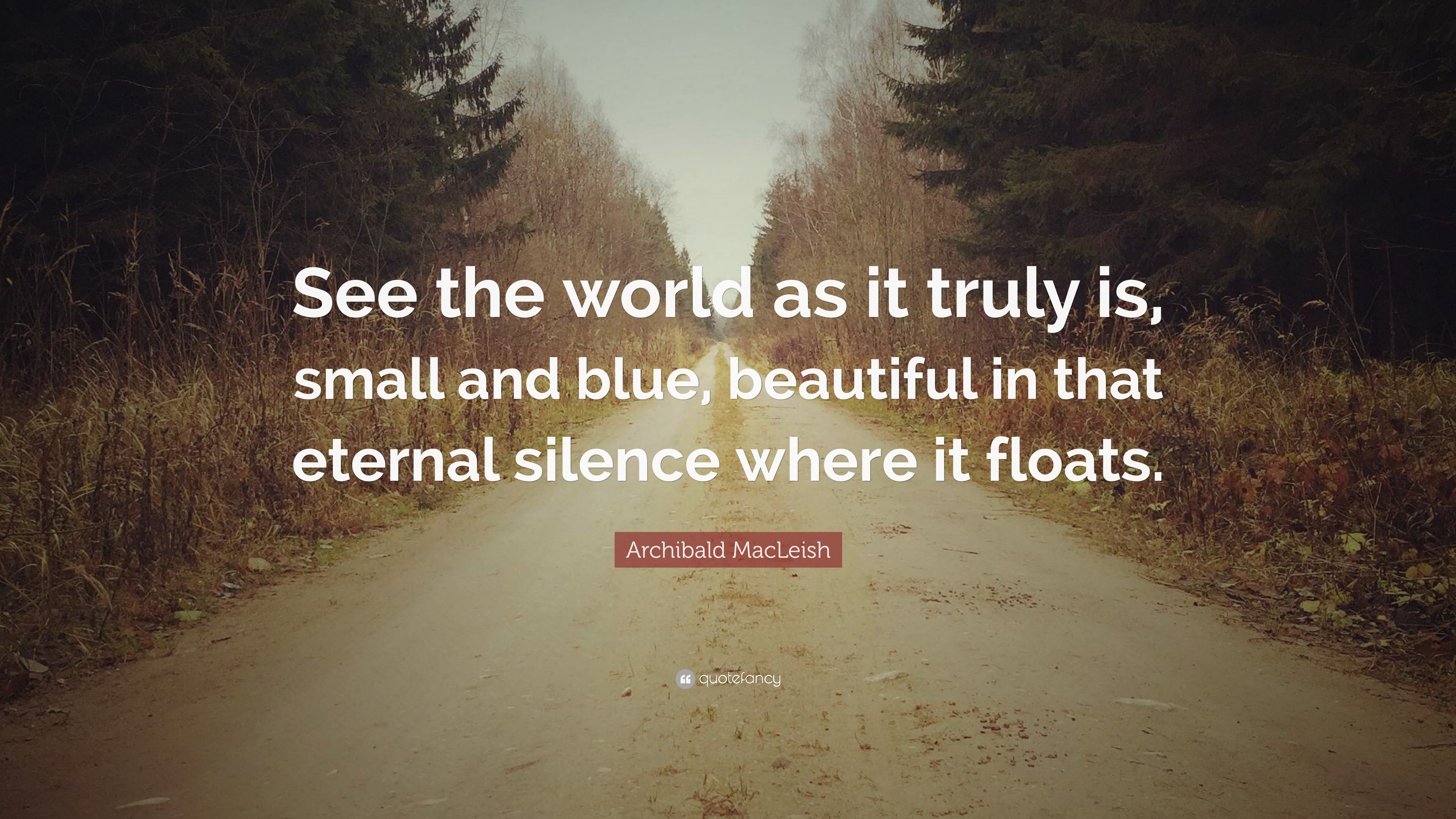 Archibald MacLeish Quote: “See the world as it truly is, small and blue ...