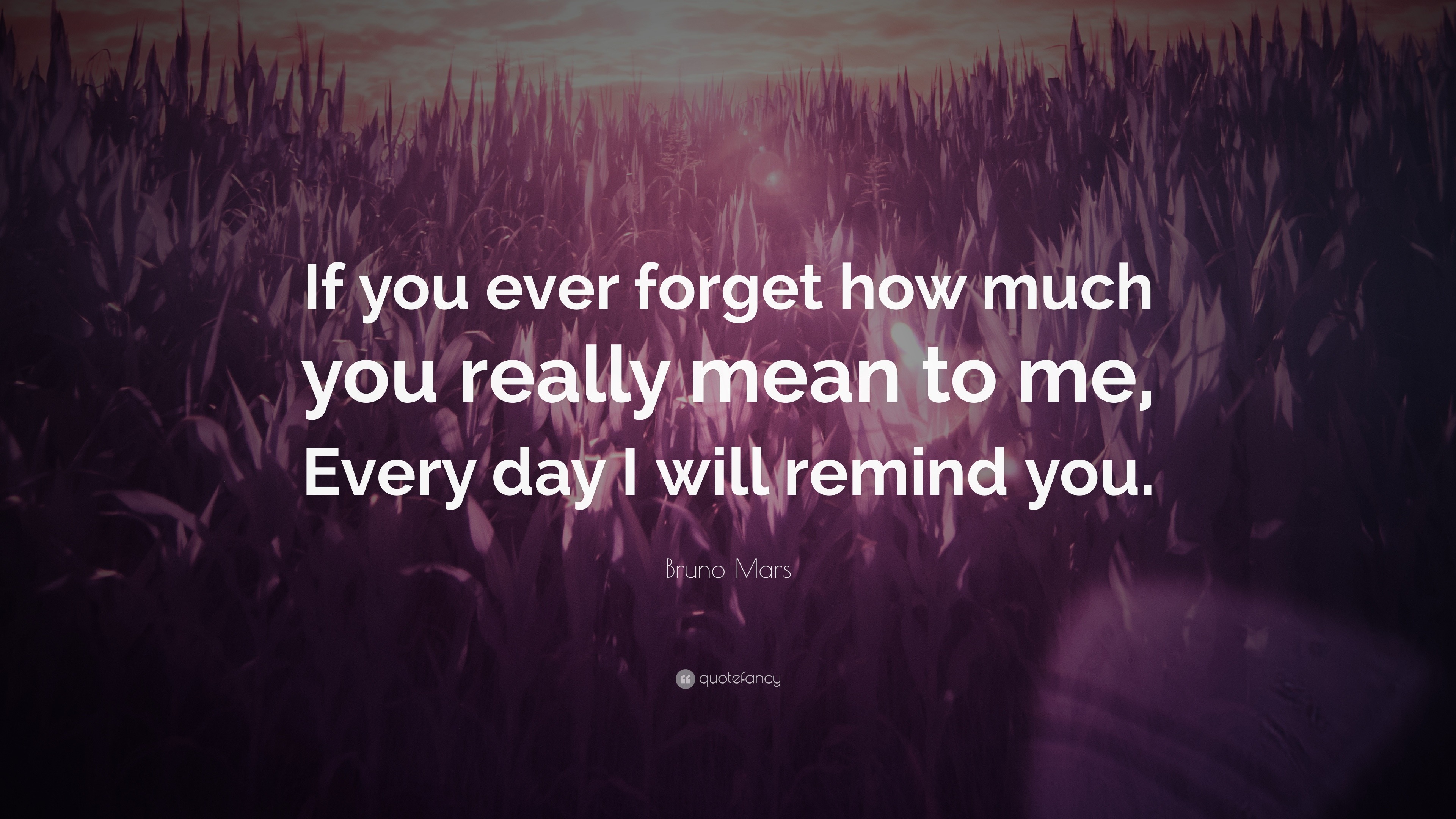 Bruno Mars Quote If You Ever Forget How Much You Really Mean To Me 