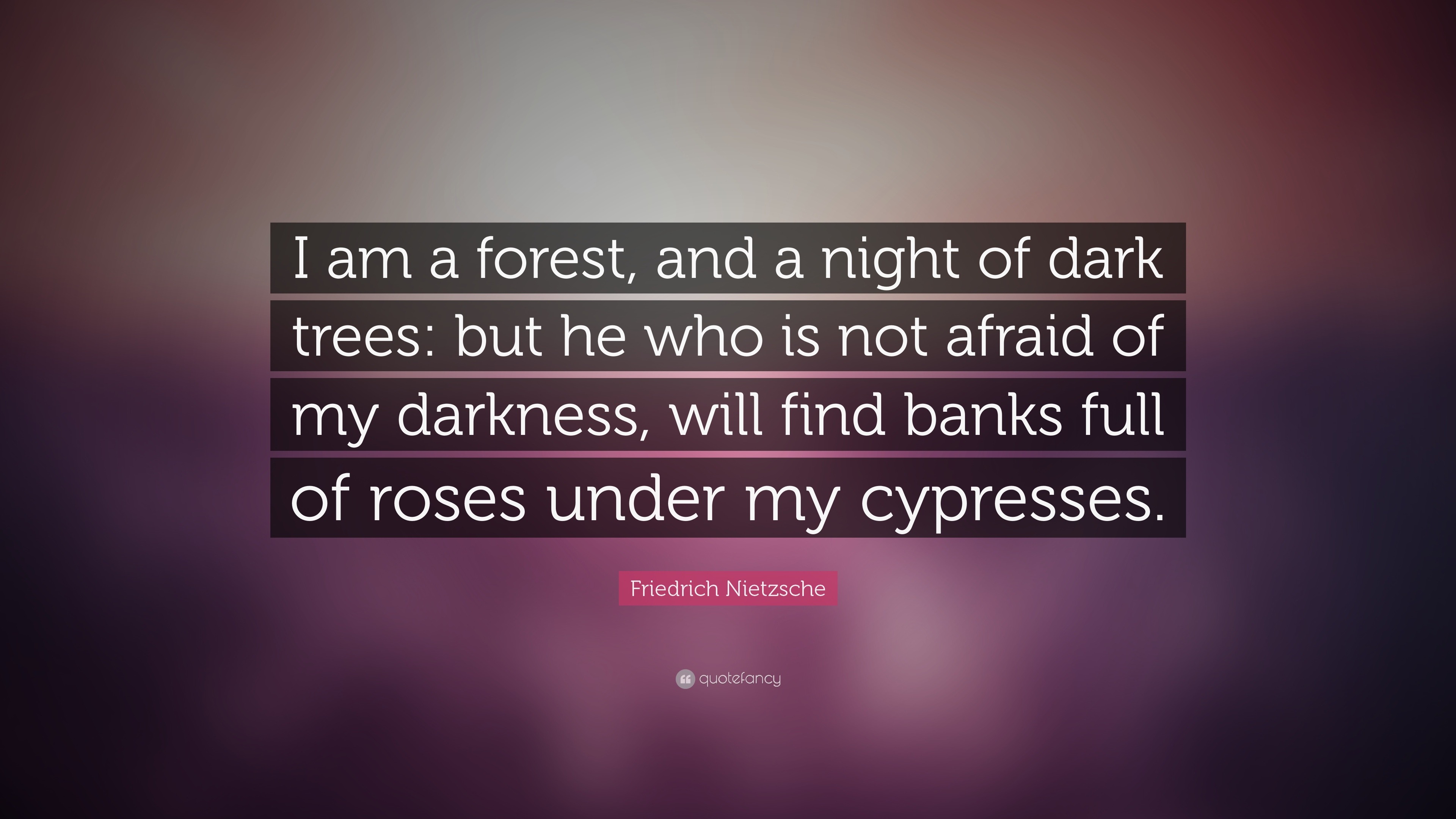 Friedrich Nietzsche Quote “I am a forest, and a night of dark trees