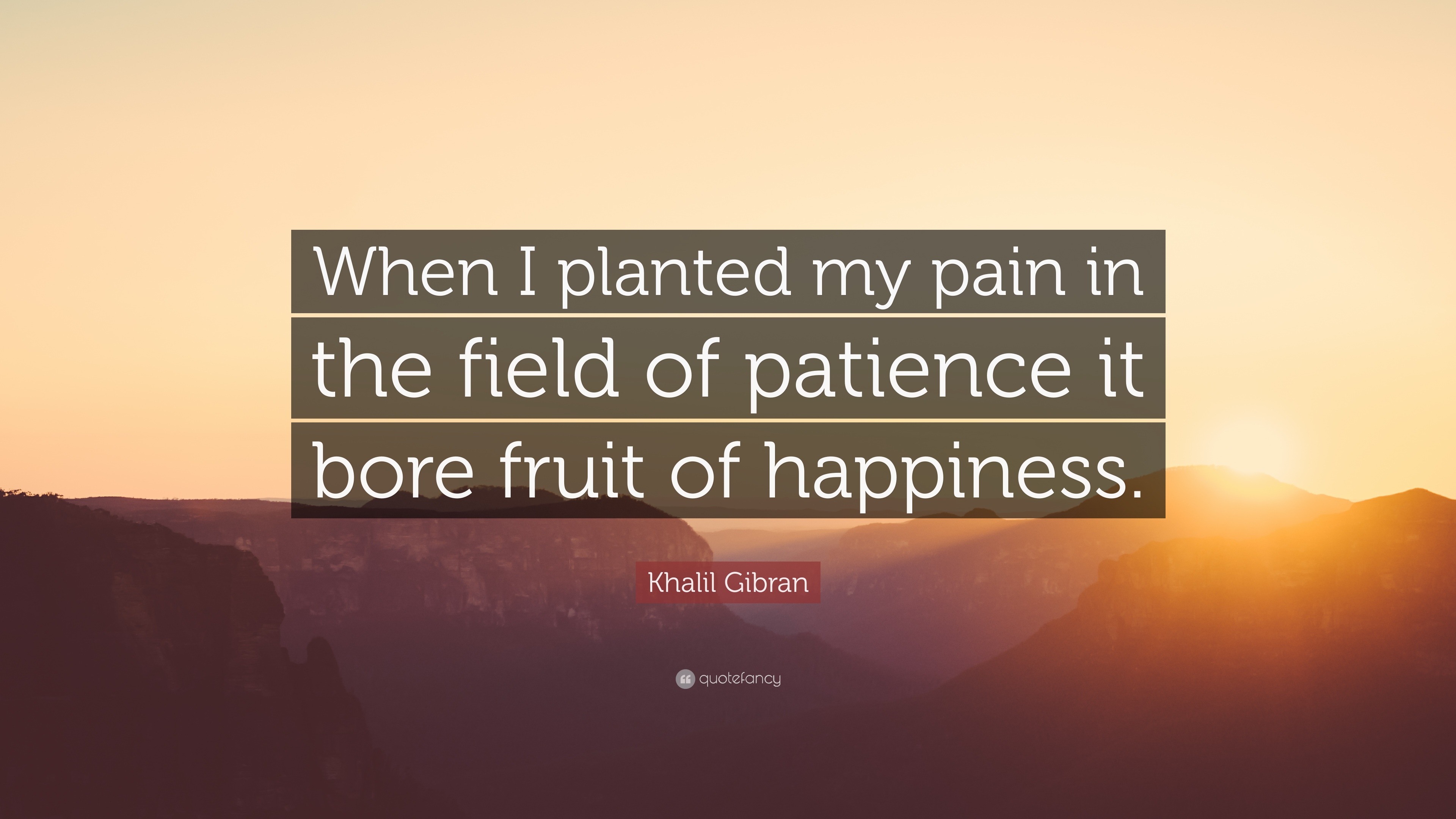 Khalil Gibran Quote When I Planted My Pain In The Field Of Patience It Bore Fruit Of Happiness 12 Wallpapers Quotefancy