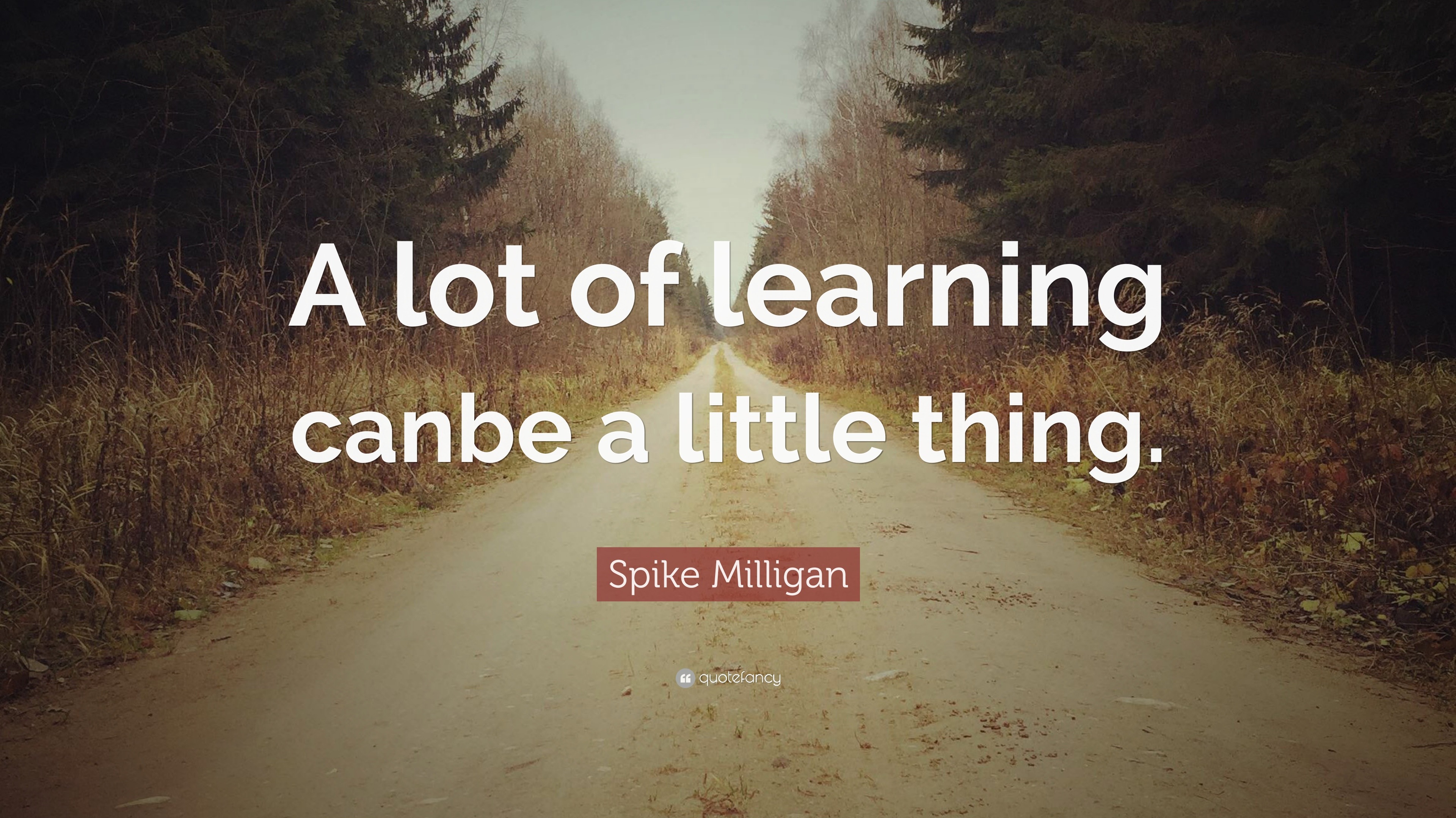 Spike Milligan Quote: “A lot of learning canbe a little thing.”