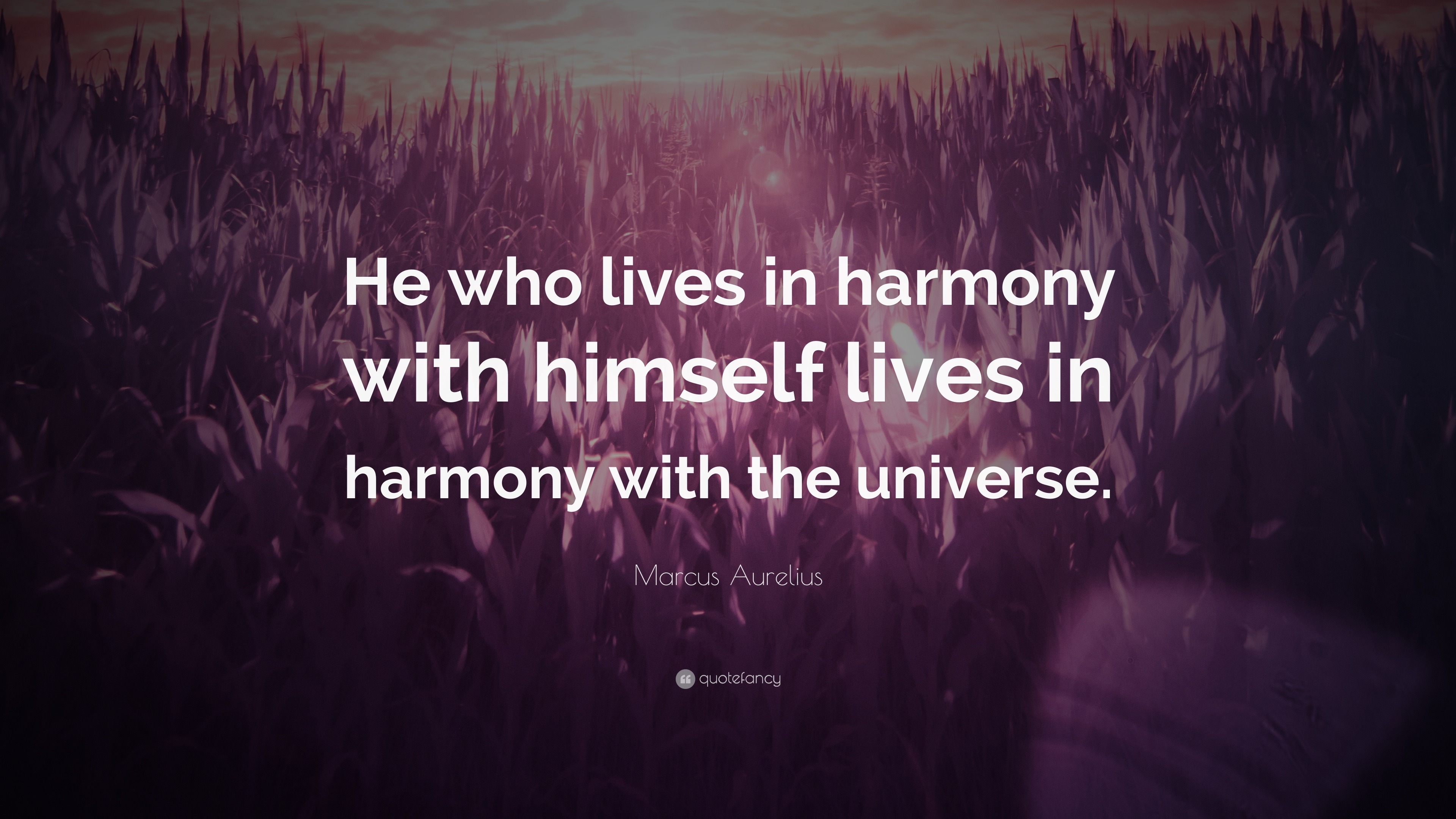 103675 Marcus Aurelius Quote He Who Lives In Harmony With Himself Lives 