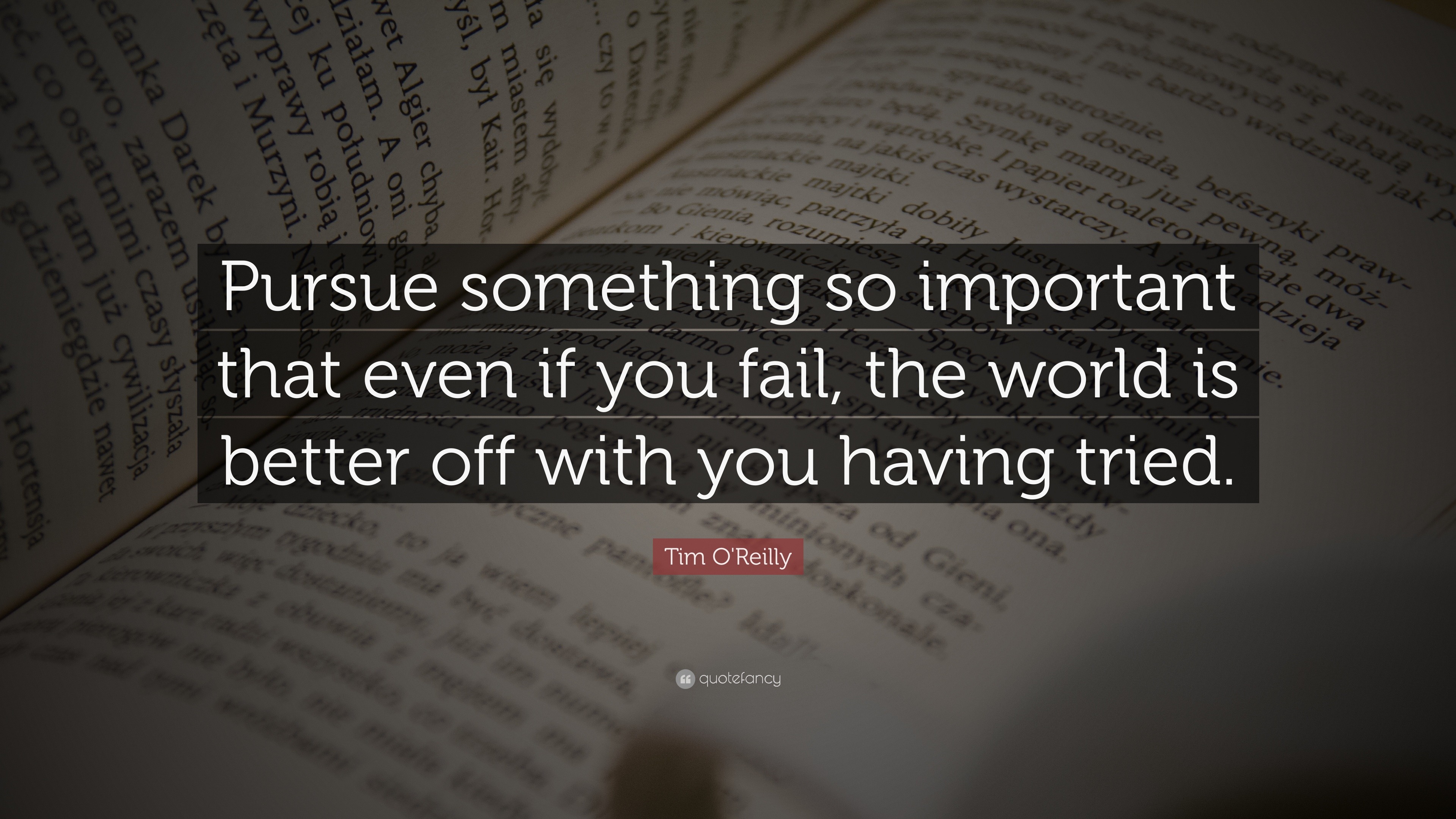 Tim O'Reilly Quote: “Pursue something so important that even if you ...