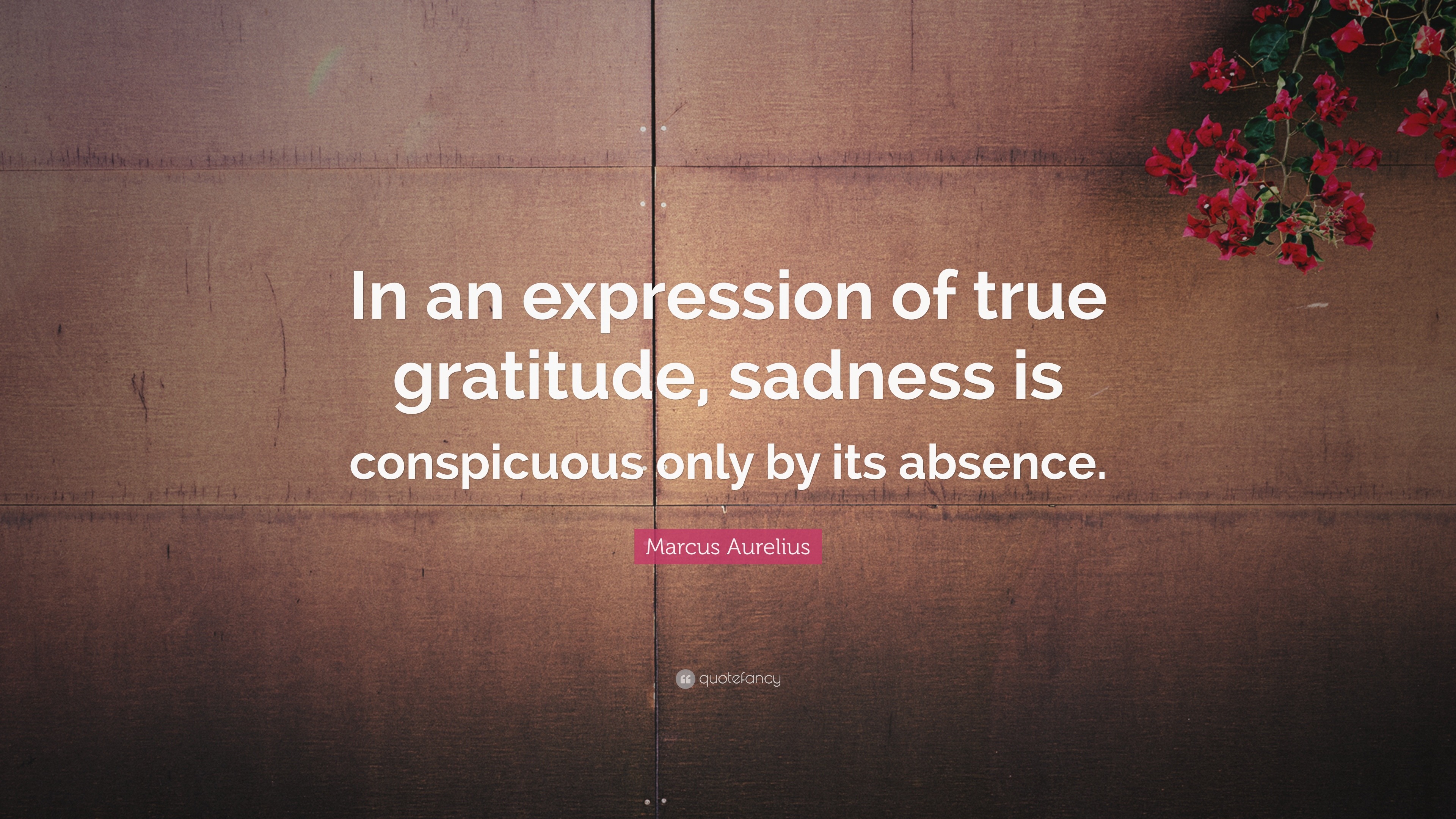 Marcus True Marcus Aurelius Quote: “In an expression of true gratitude, sadness is ...
