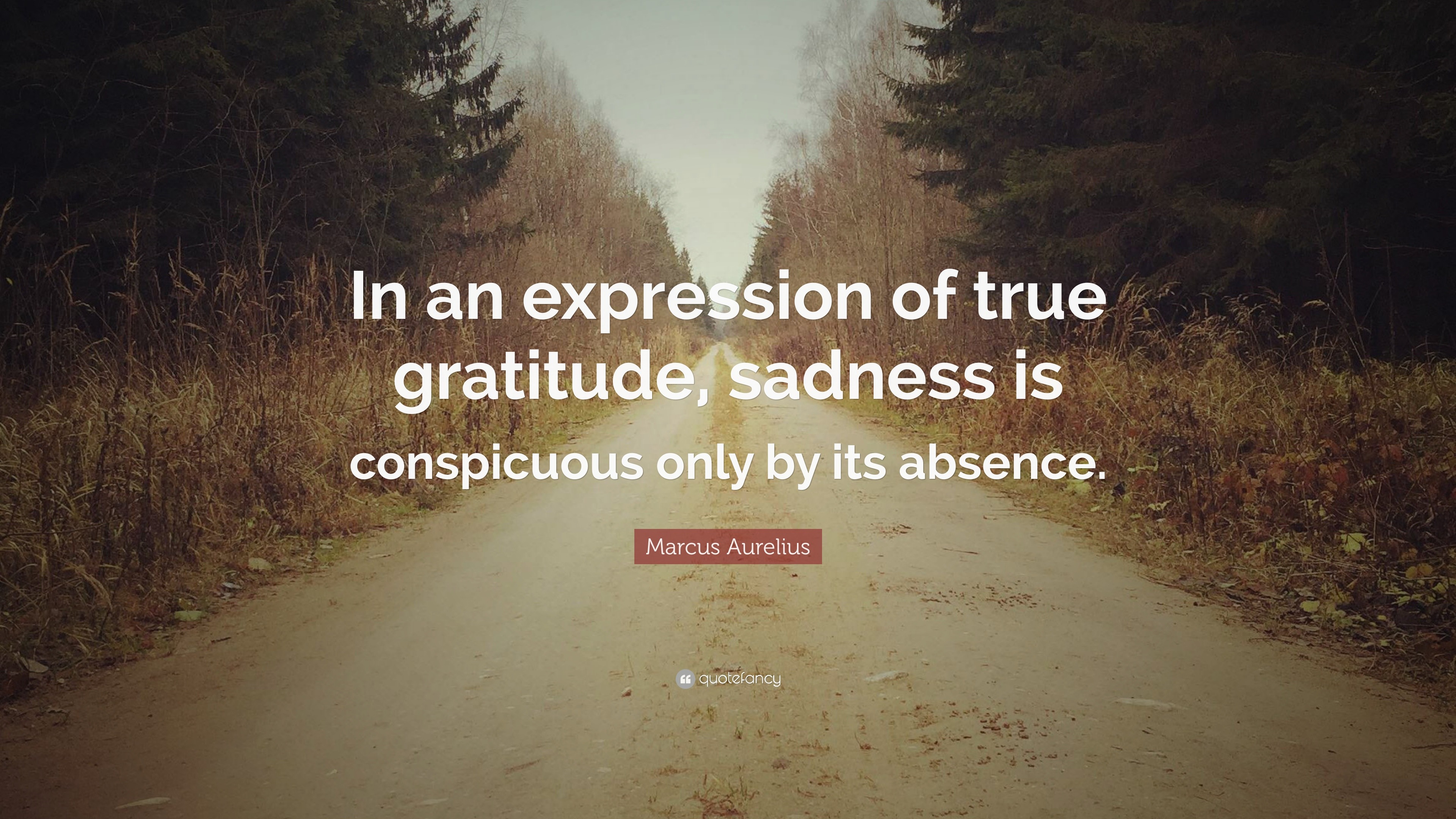 Marcus True Marcus Aurelius Quote: “In an expression of true gratitude, sadness is ...