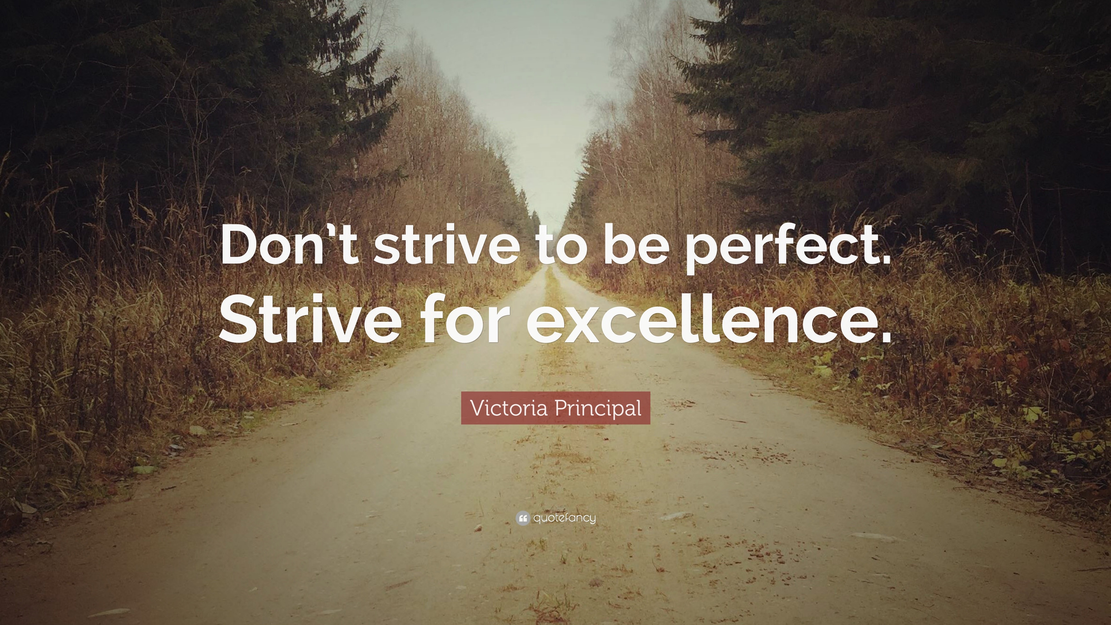 Victoria Principal Quote: “don’t Strive To Be Perfect. Strive For 