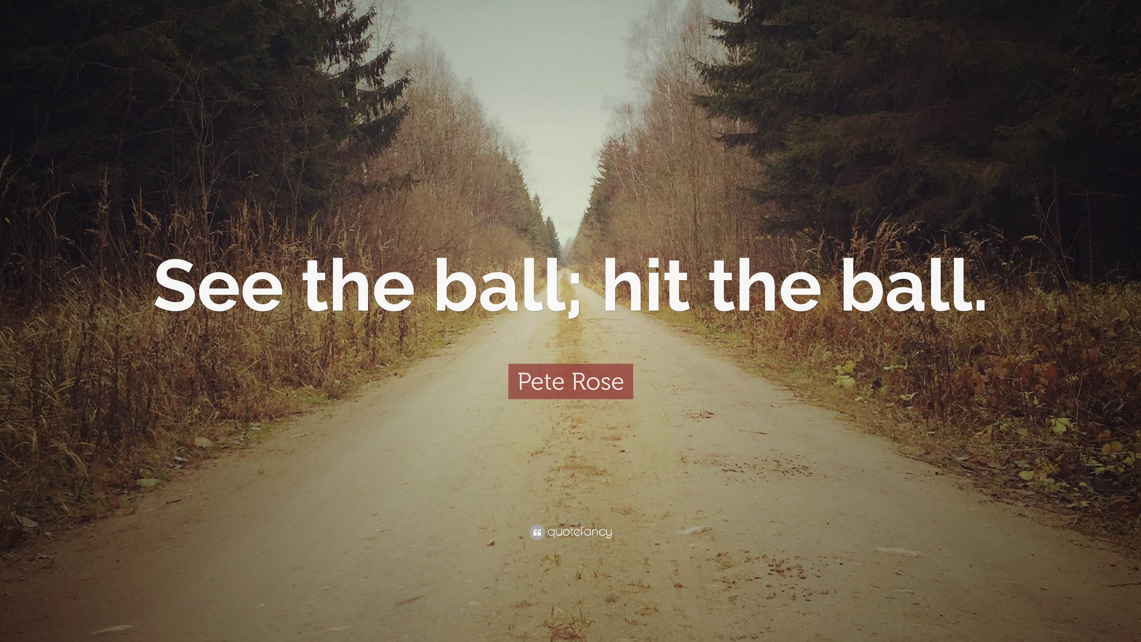 Pete Rose Quote: “See the ball; hit the ball.”