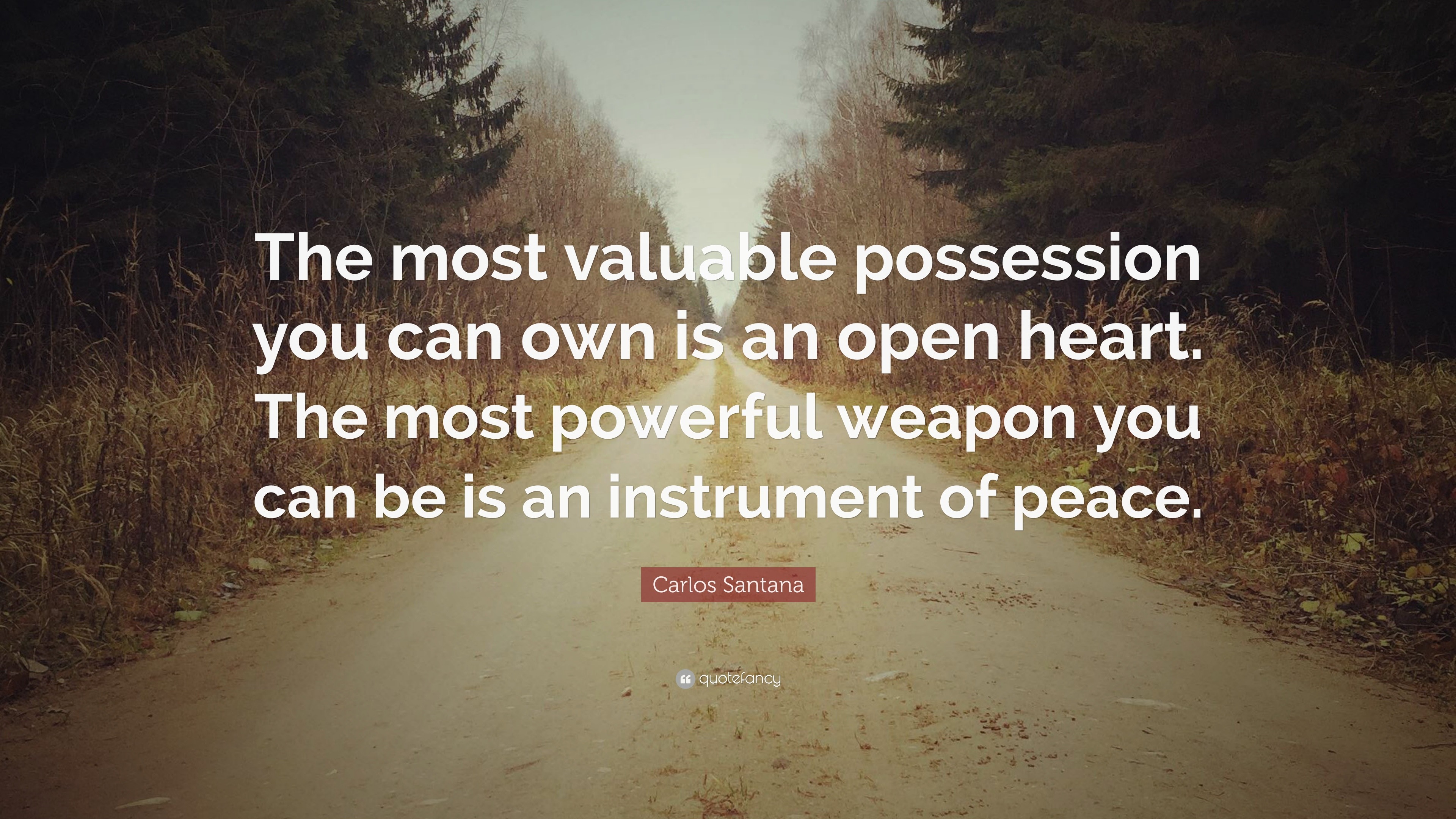 Most valuable possession