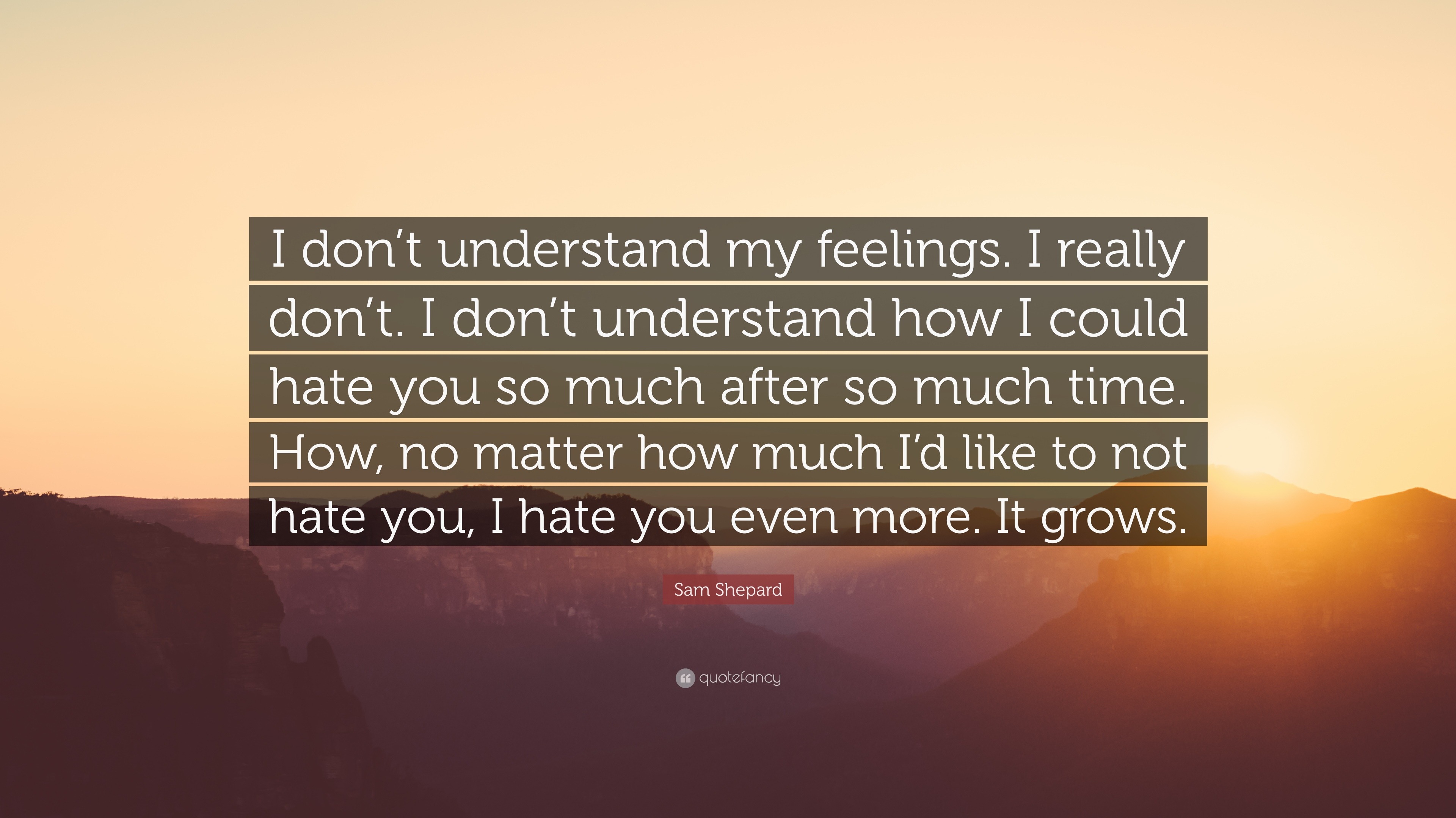 Sam Shepard Quote I Don T Understand My Feelings I Really Don T I Don T Understand How I Could Hate You So Much After So Much Time How