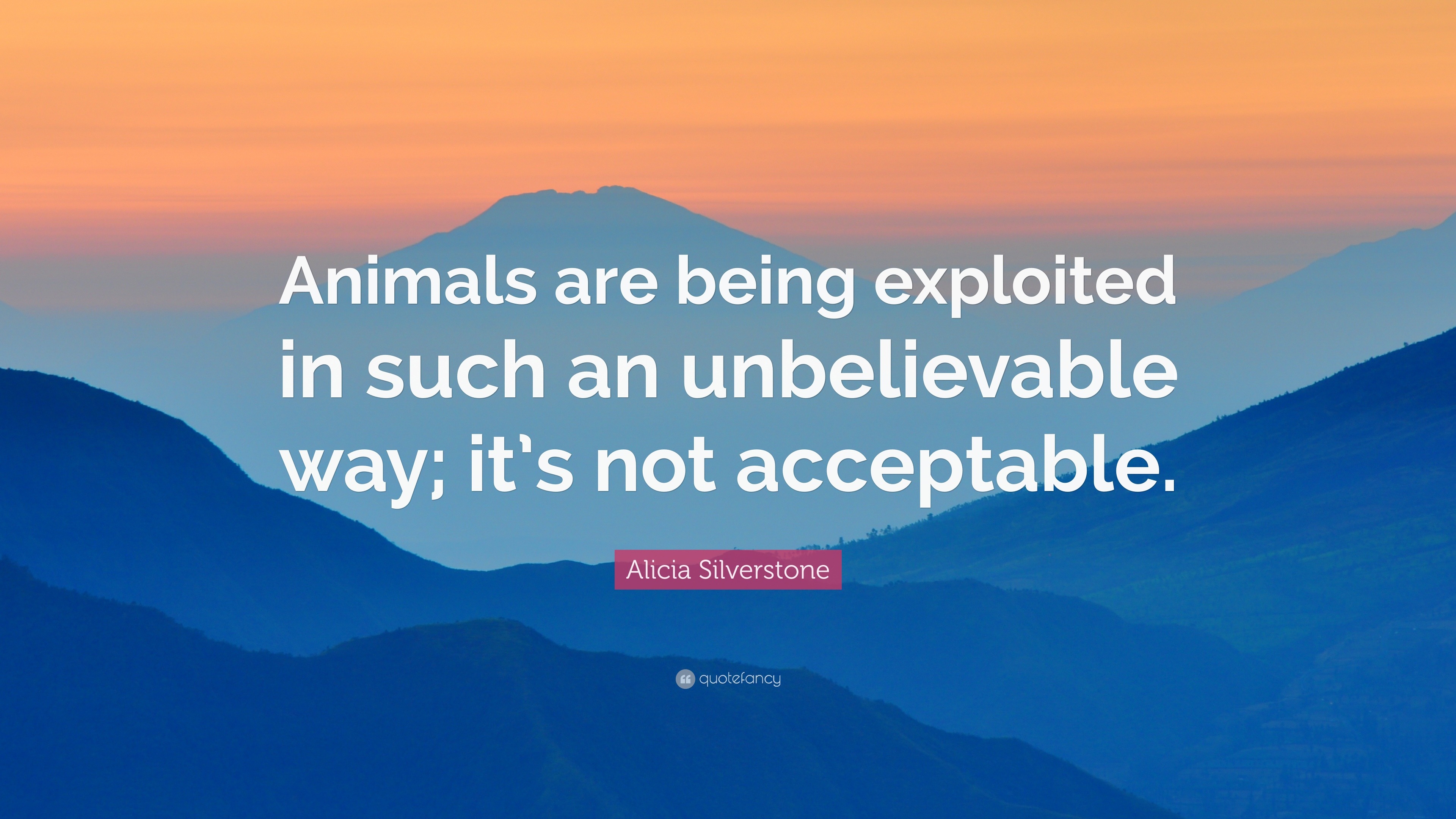 Alicia Silverstone Quote: “Animals are being exploited in such an ...