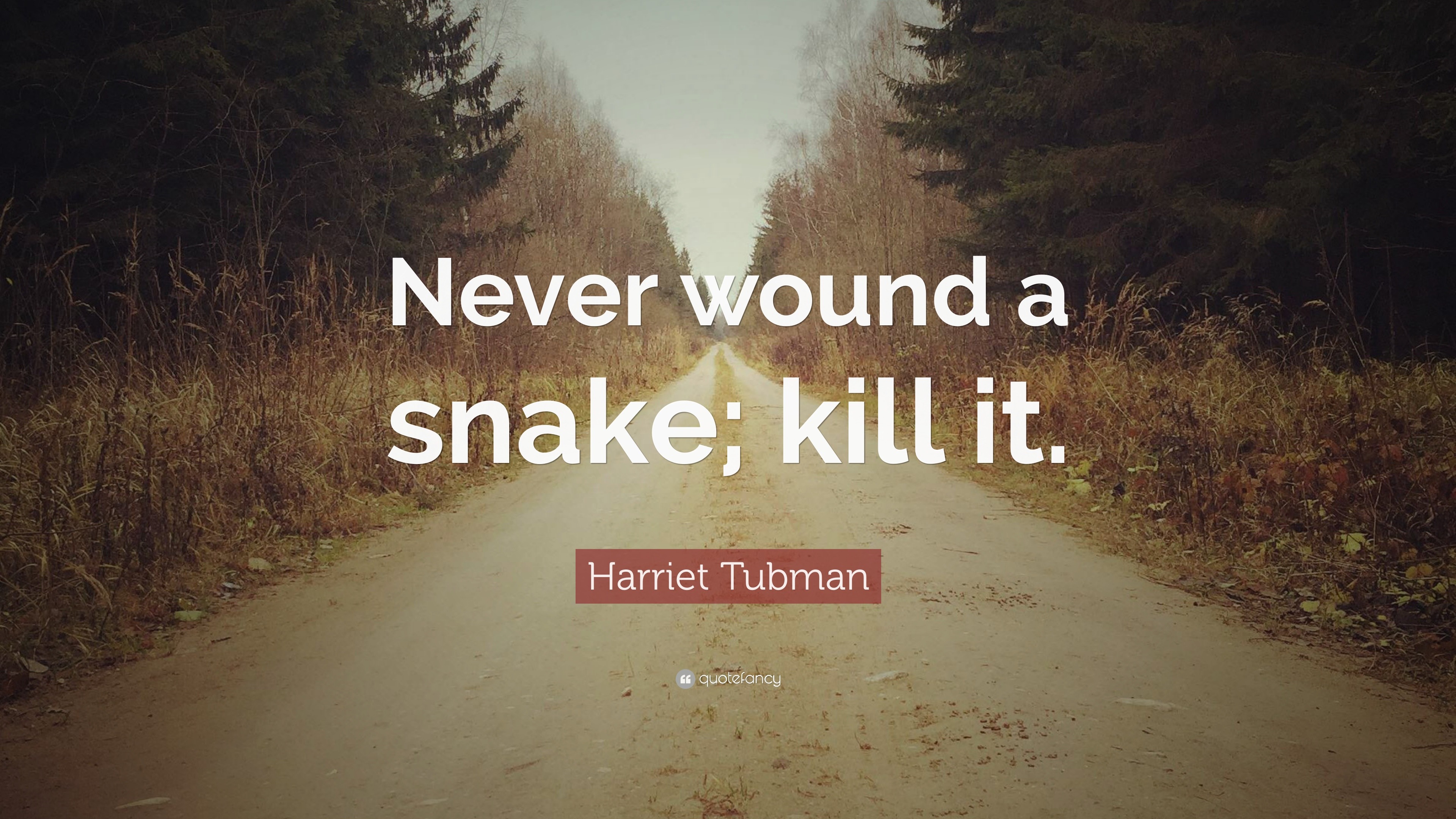 Harriet Tubman Quote Never Wound A Snake Kill It