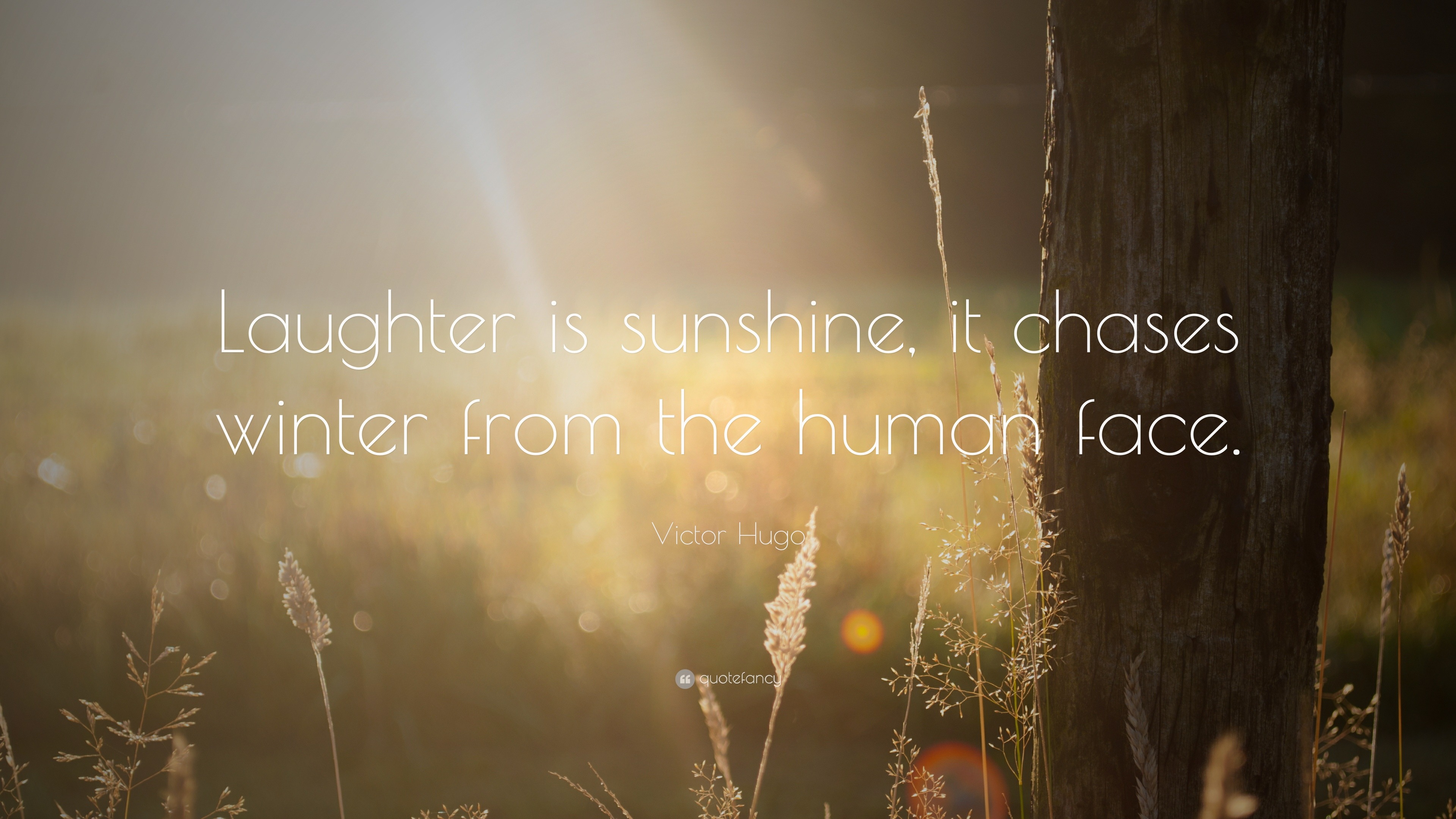 victor-hugo-quote-laughter-is-sunshine-it-chases-winter-from-the