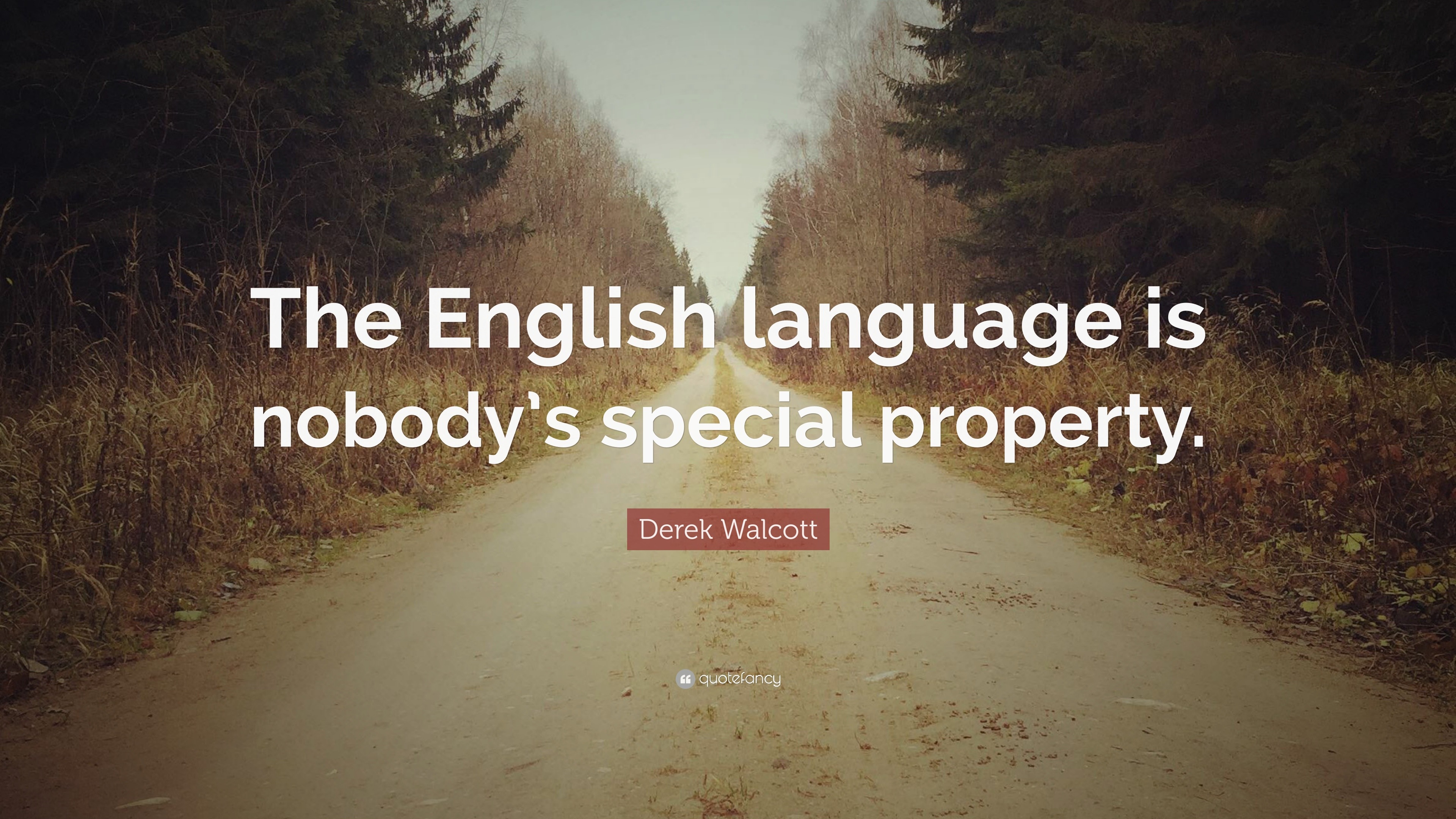 Derek Walcott Quote: “The English language is nobody’s special property.”