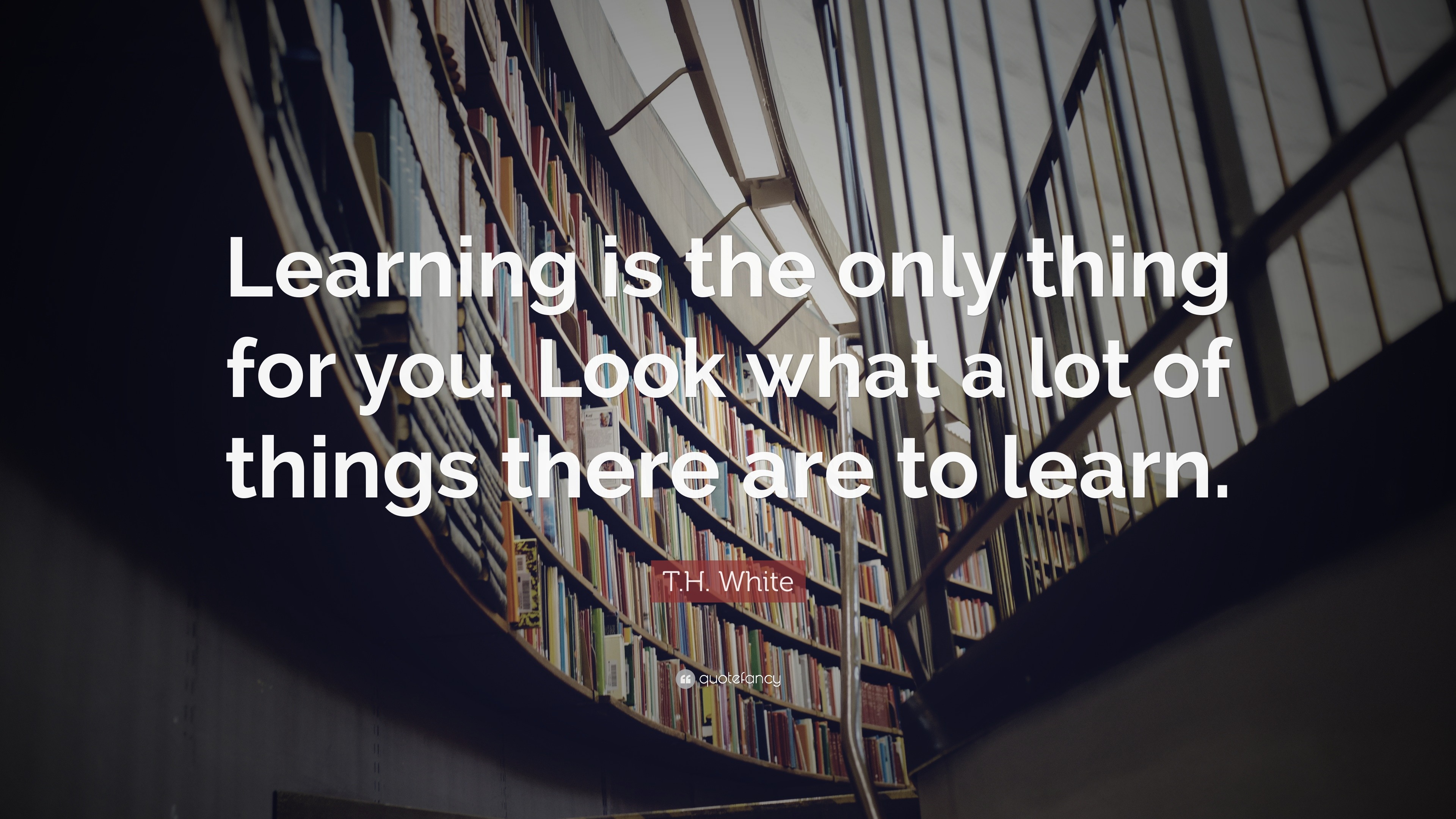 T.H. White Quote: “Learning is the only thing for you. Look what a lot ...