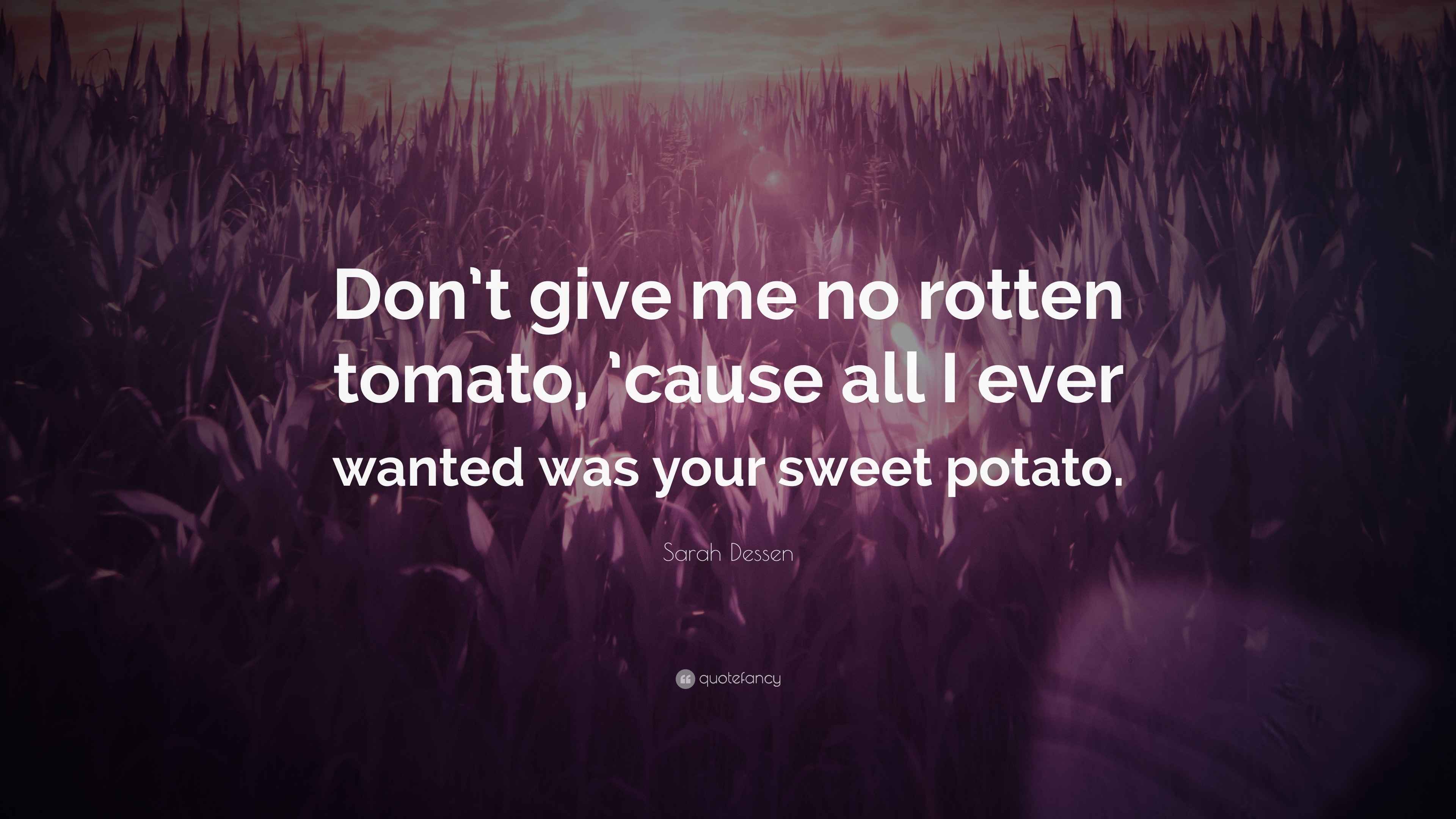 Sarah Dessen Quote “Don’t give me no rotten tomato, ’cause all I ever