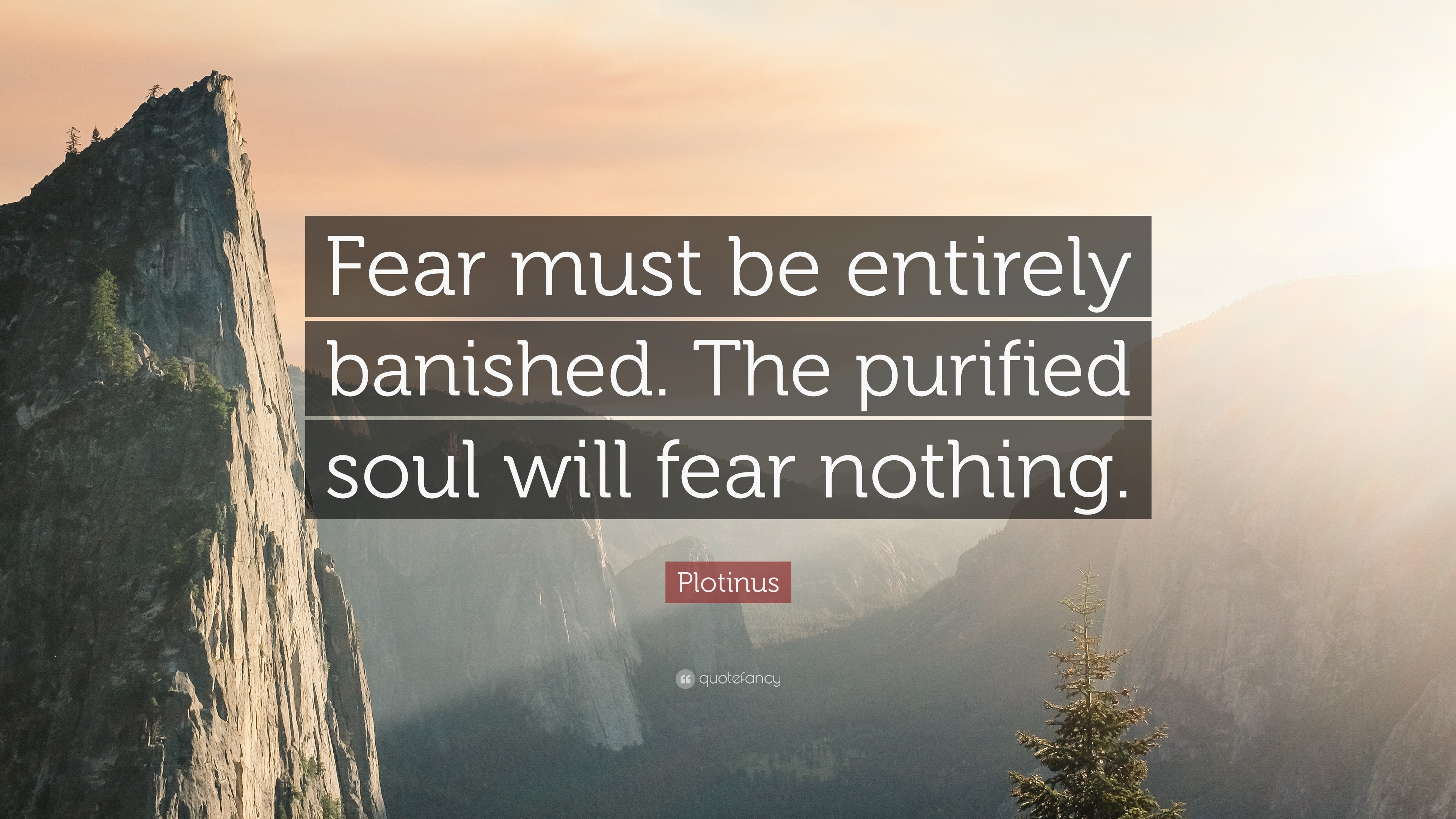 Plotinus Quote: “Fear must be entirely banished. The purified soul will ...