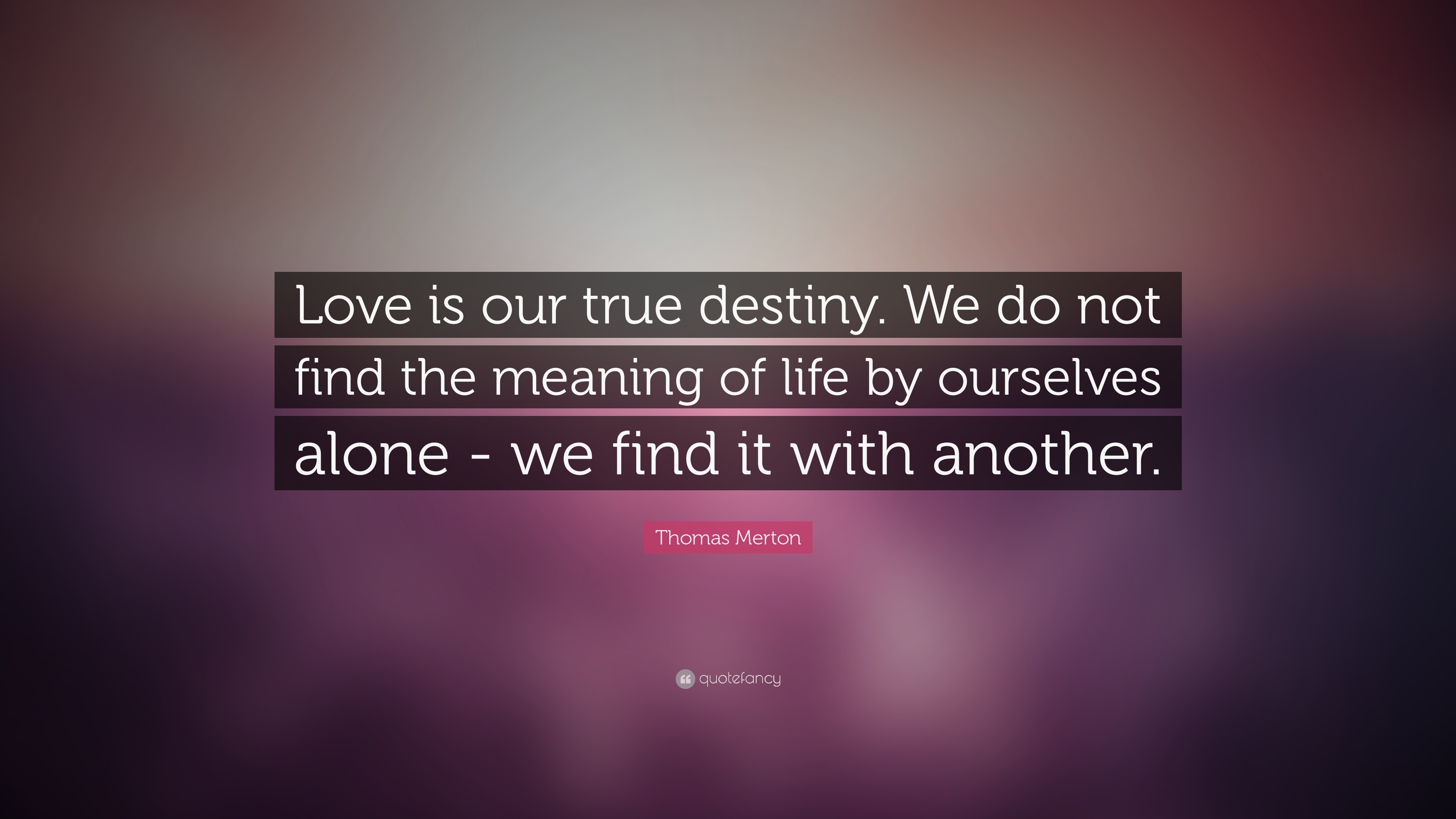 Thomas Merton Quote: “Love is our true destiny. We do not find the
