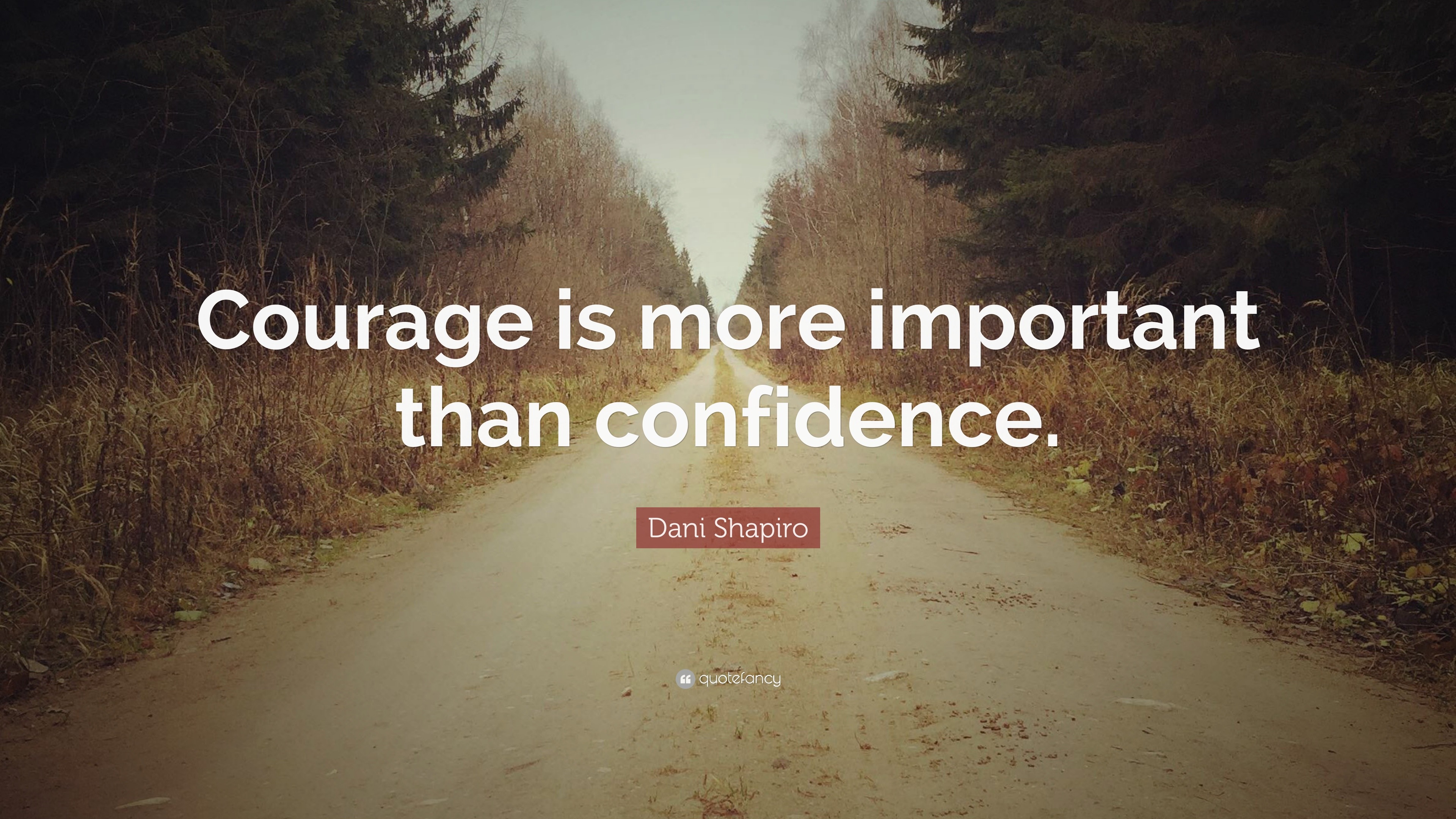 Dani Shapiro Quote: “Courage is more important than confidence.”