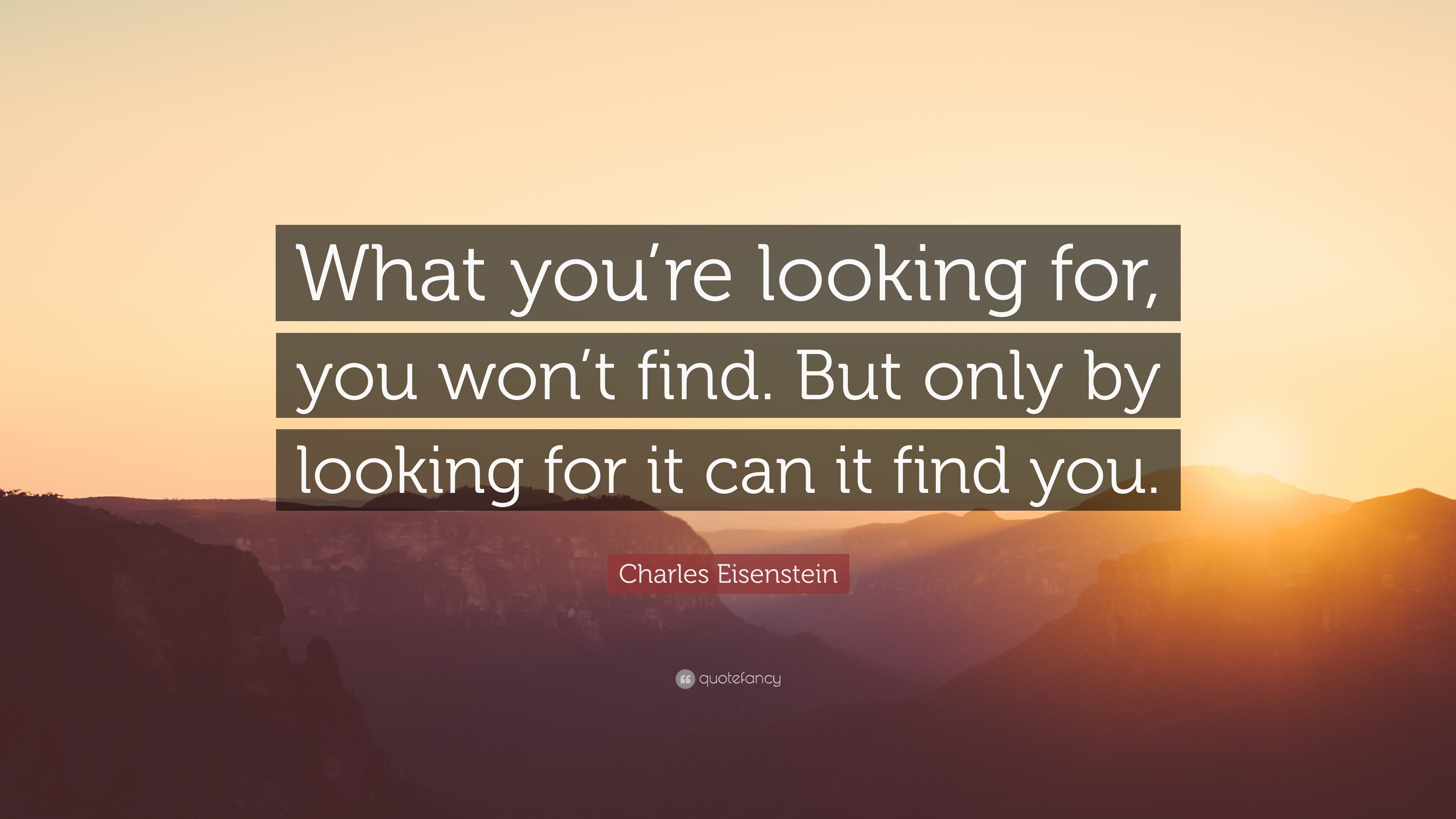 Charles Eisenstein Quote: “What you’re looking for, you won’t find. But ...