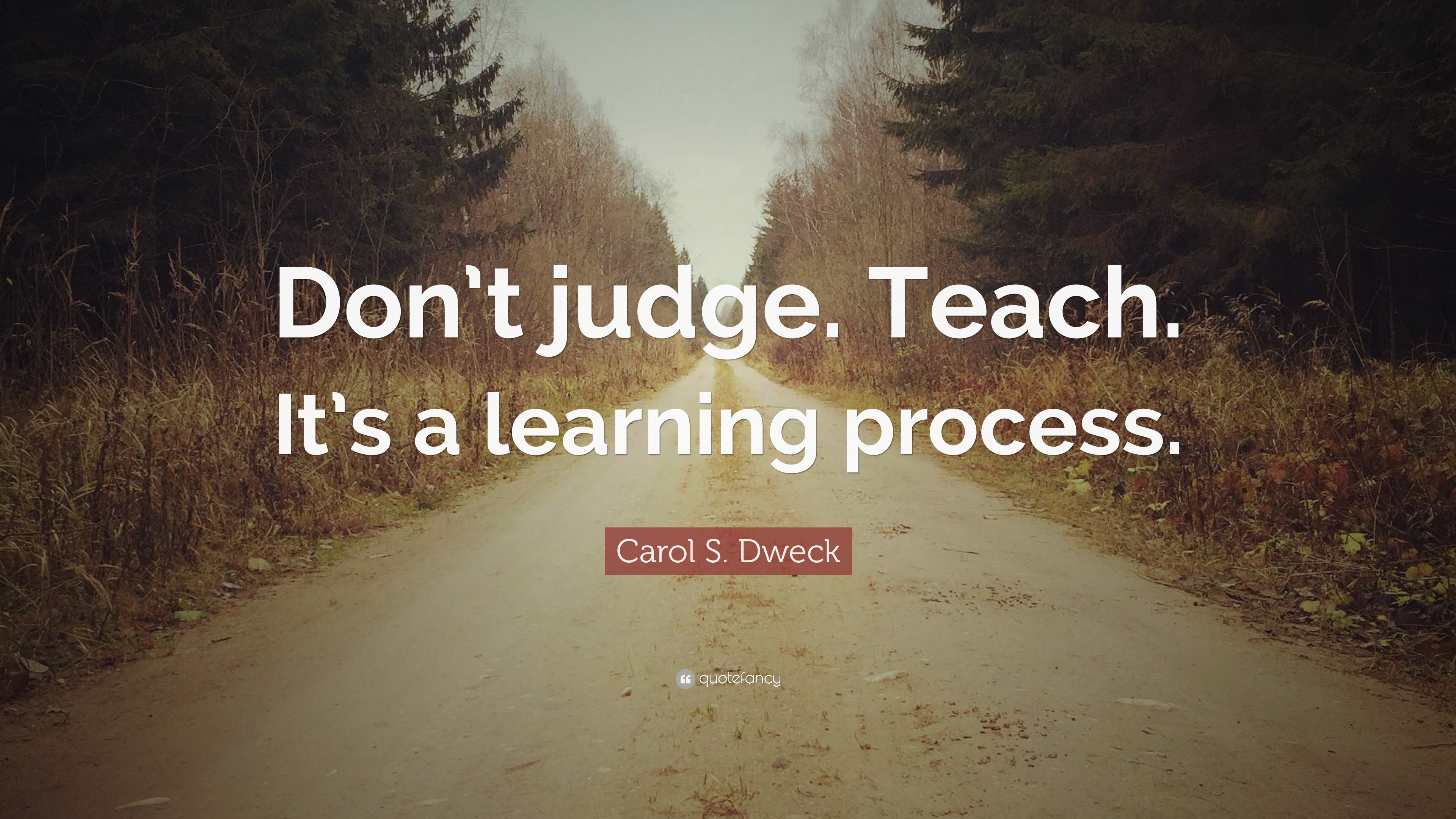 Carol S. Dweck Quote: “Don't judge. Teach. It's a learning process.”