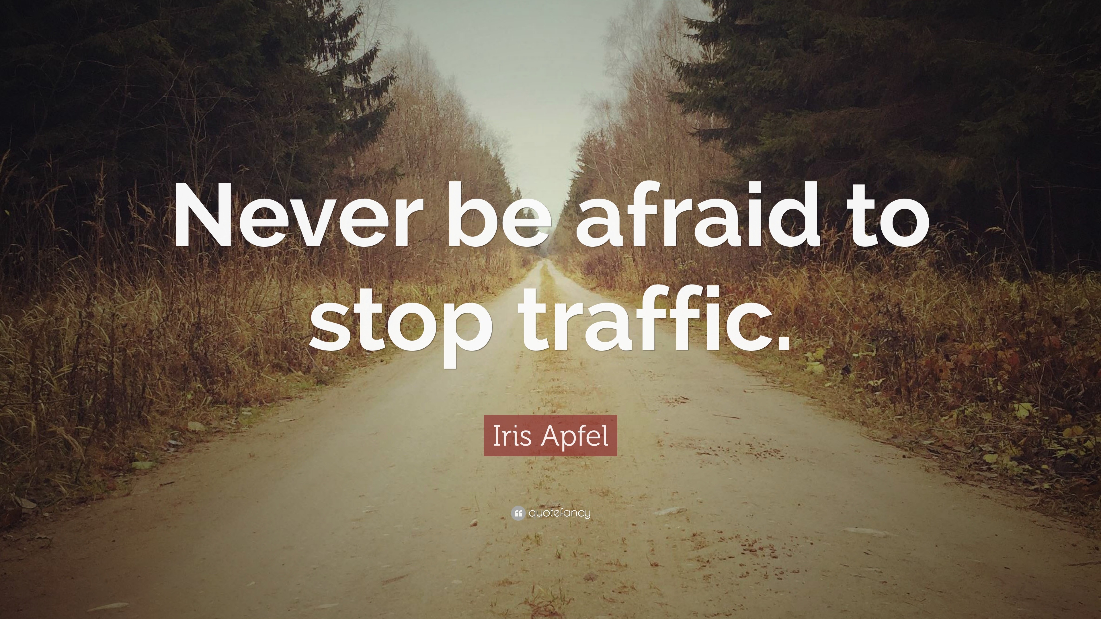 Iris Apfel Quote “Never be afraid to stop traffic.”