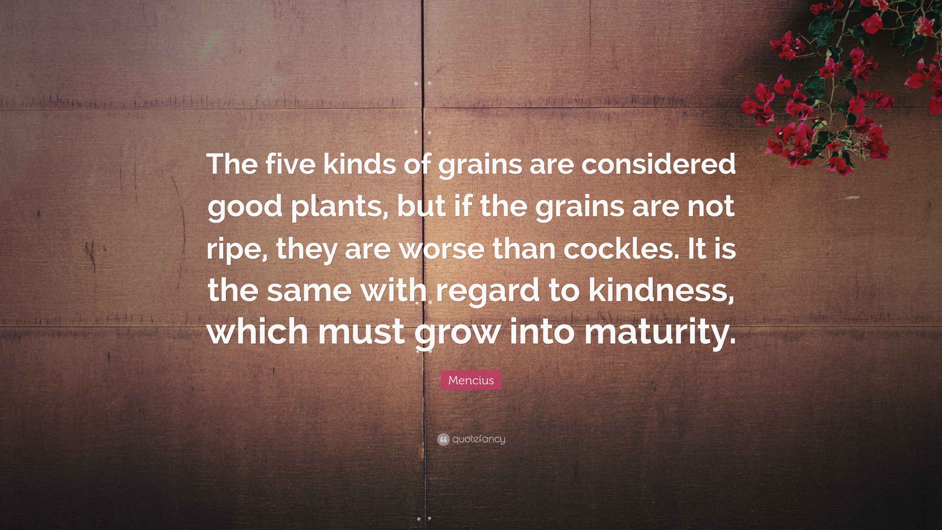 Mencius Quote “The five kinds of grains are considered good plants