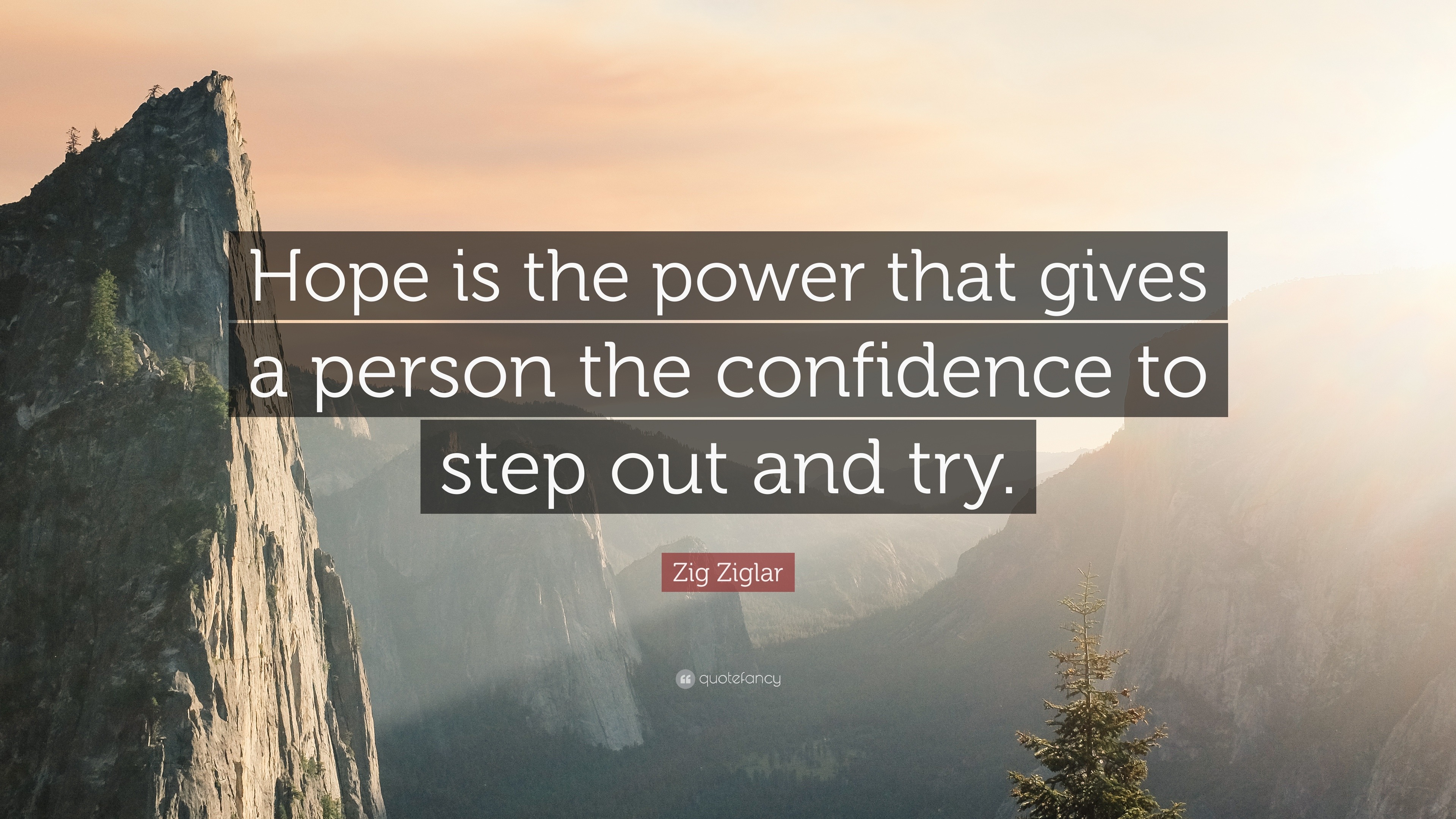 Zig Ziglar Quote: “Hope is the power that gives a person the confidence ...