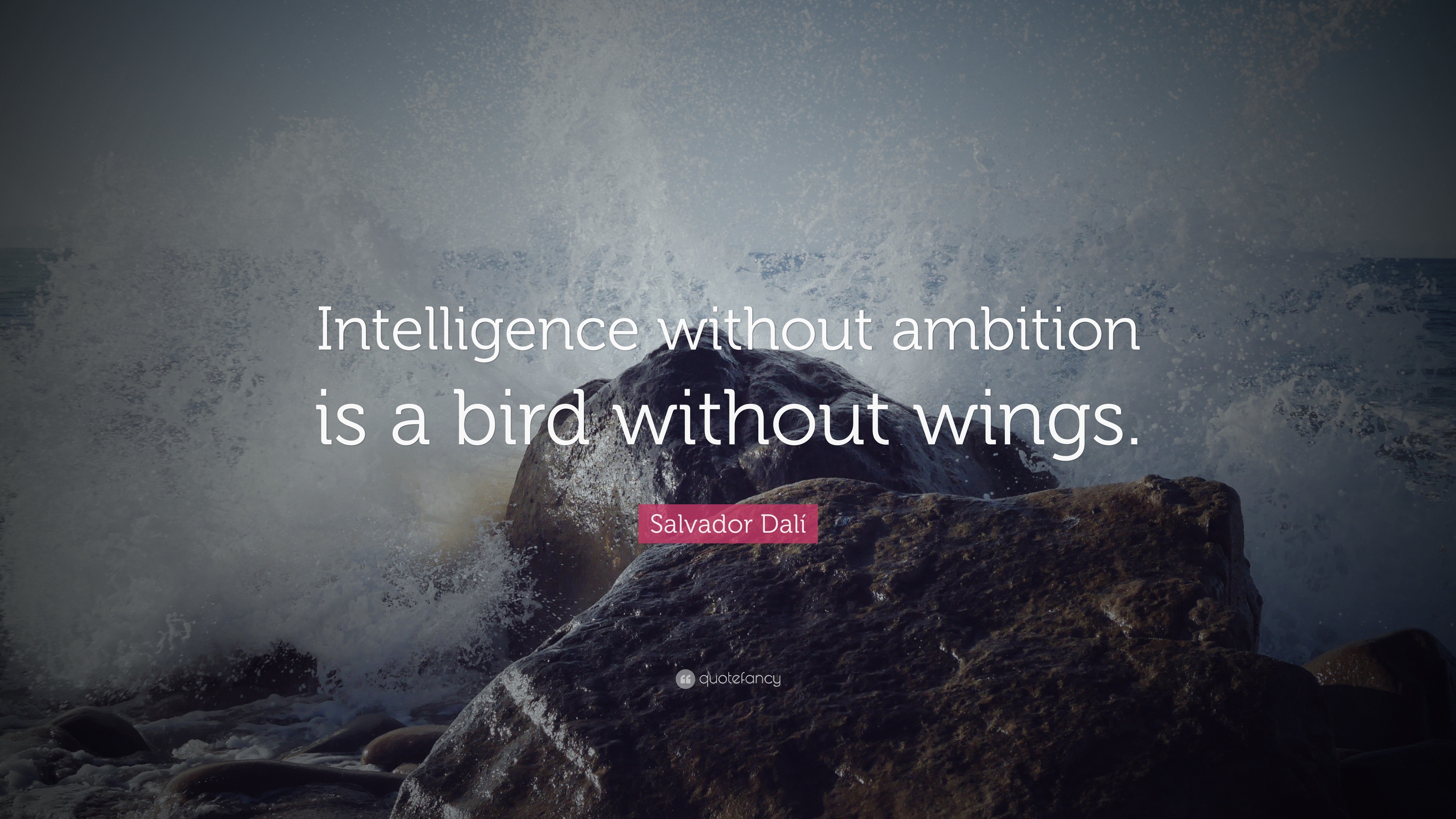 Salvador Dalí Quote: “Intelligence without ambition is a bird without ...