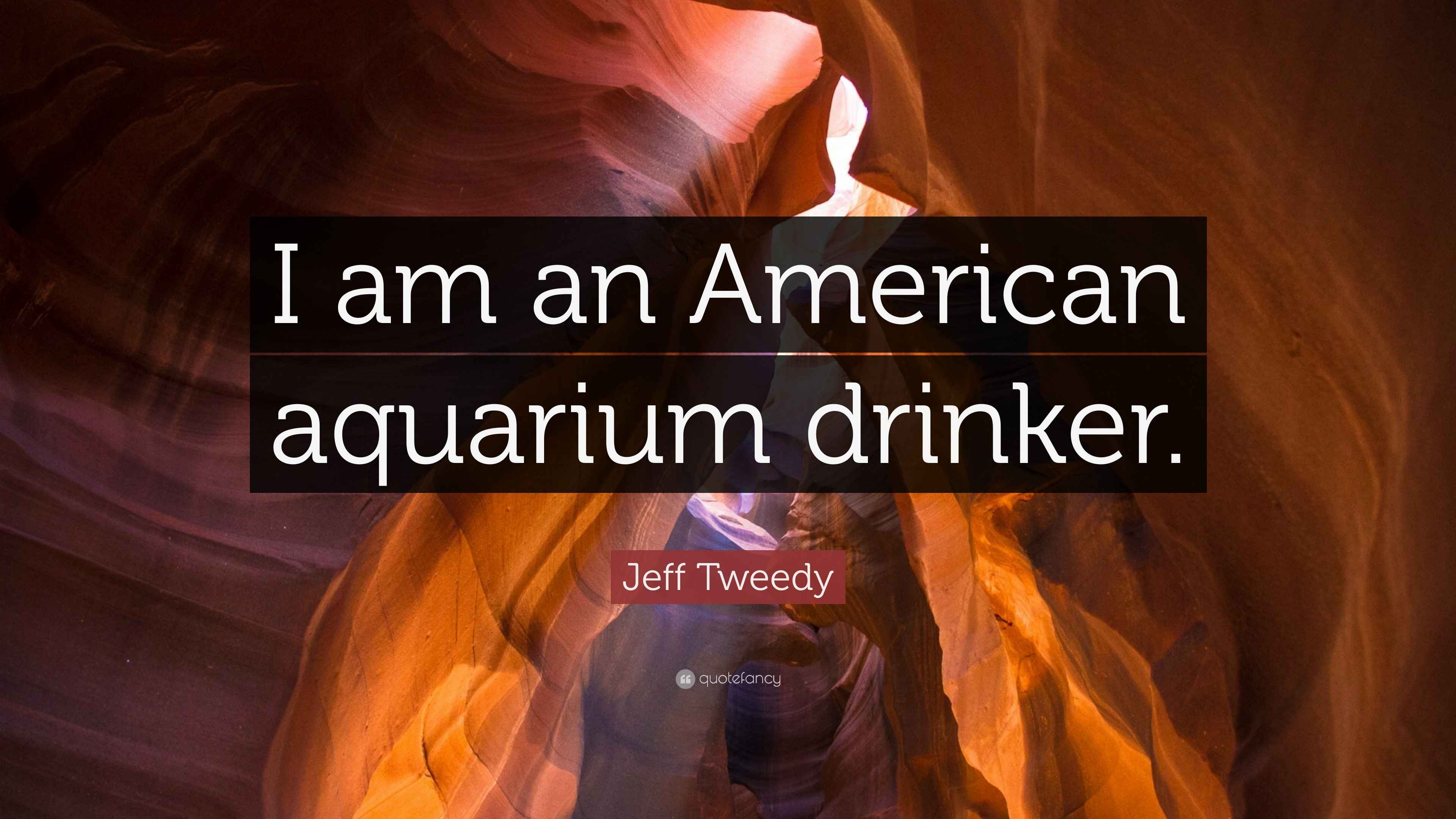 Aquarium Quote Top 40 Aquarium Quotes And Captions For Your Fish Love