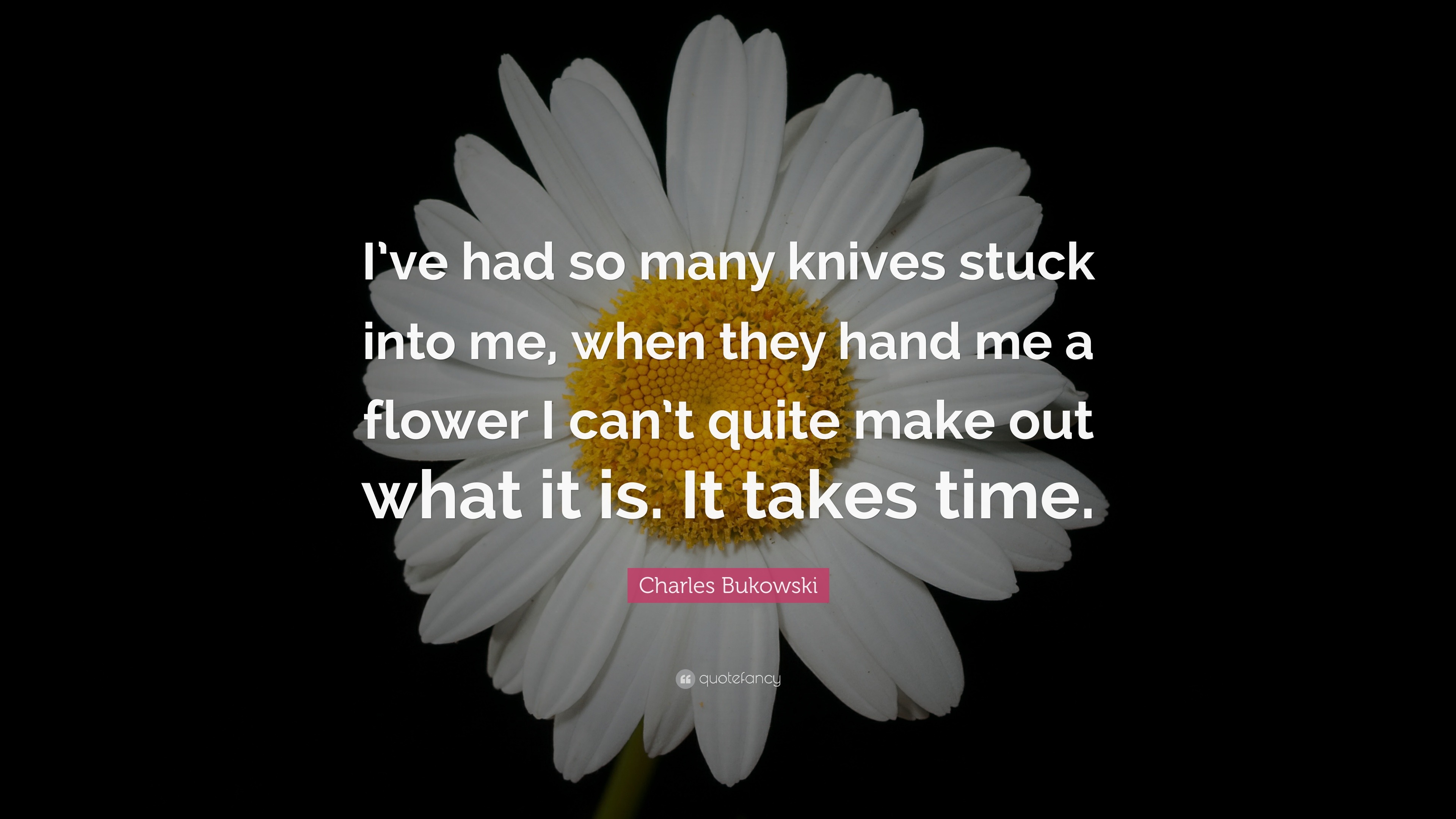 Charles Bukowski Quote: “I’ve had so many knives stuck into me, when ...