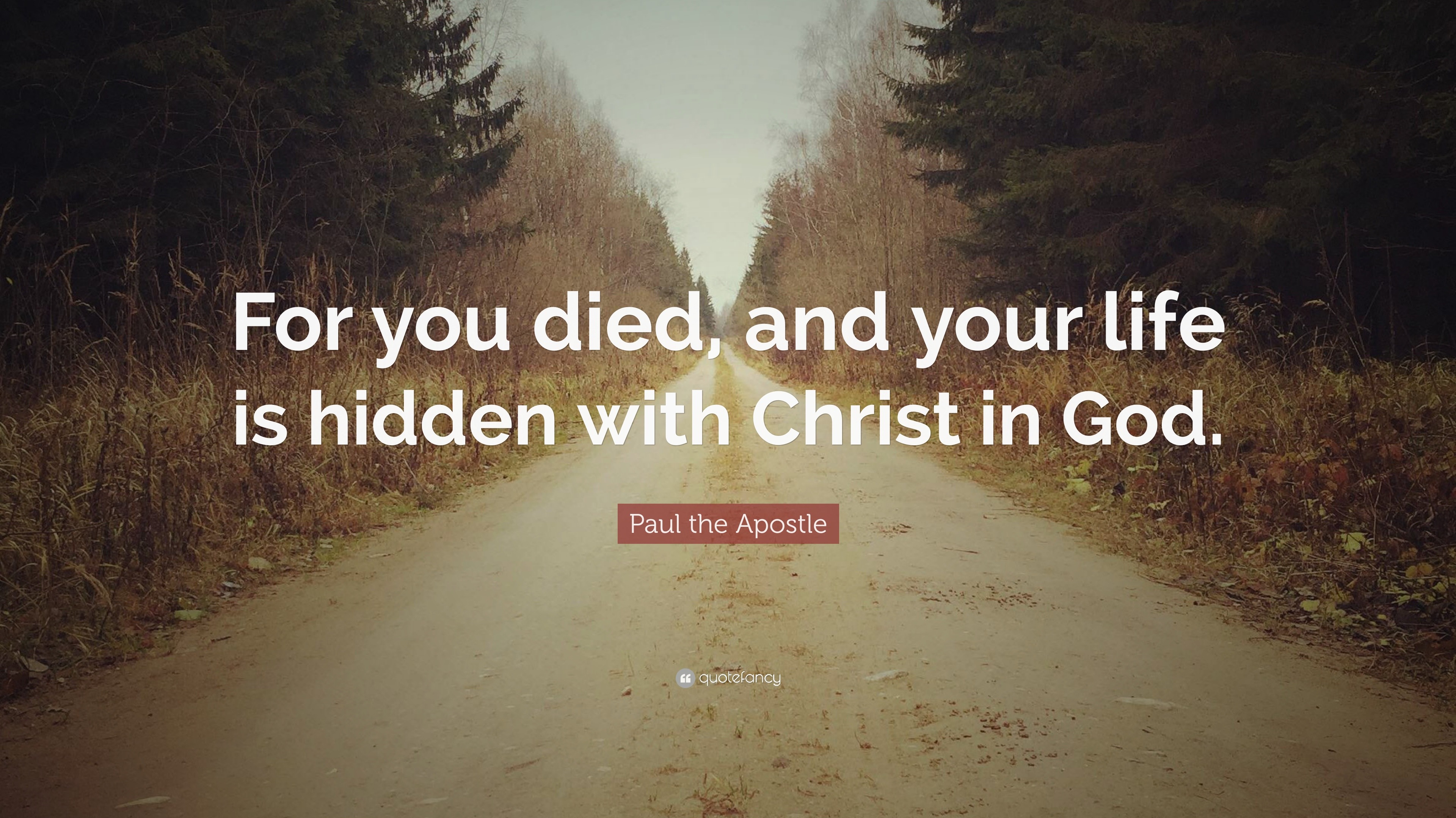 Paul the Apostle Quote: “For you died, and your life is hidden with ...