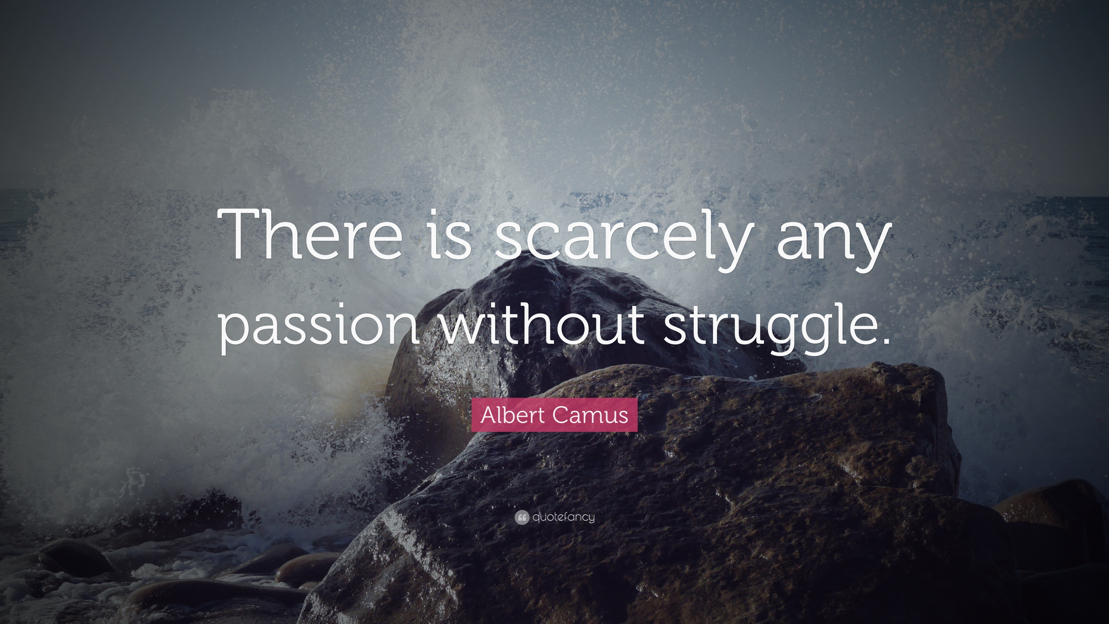 Albert Camus Quote: “There is scarcely any passion without struggle