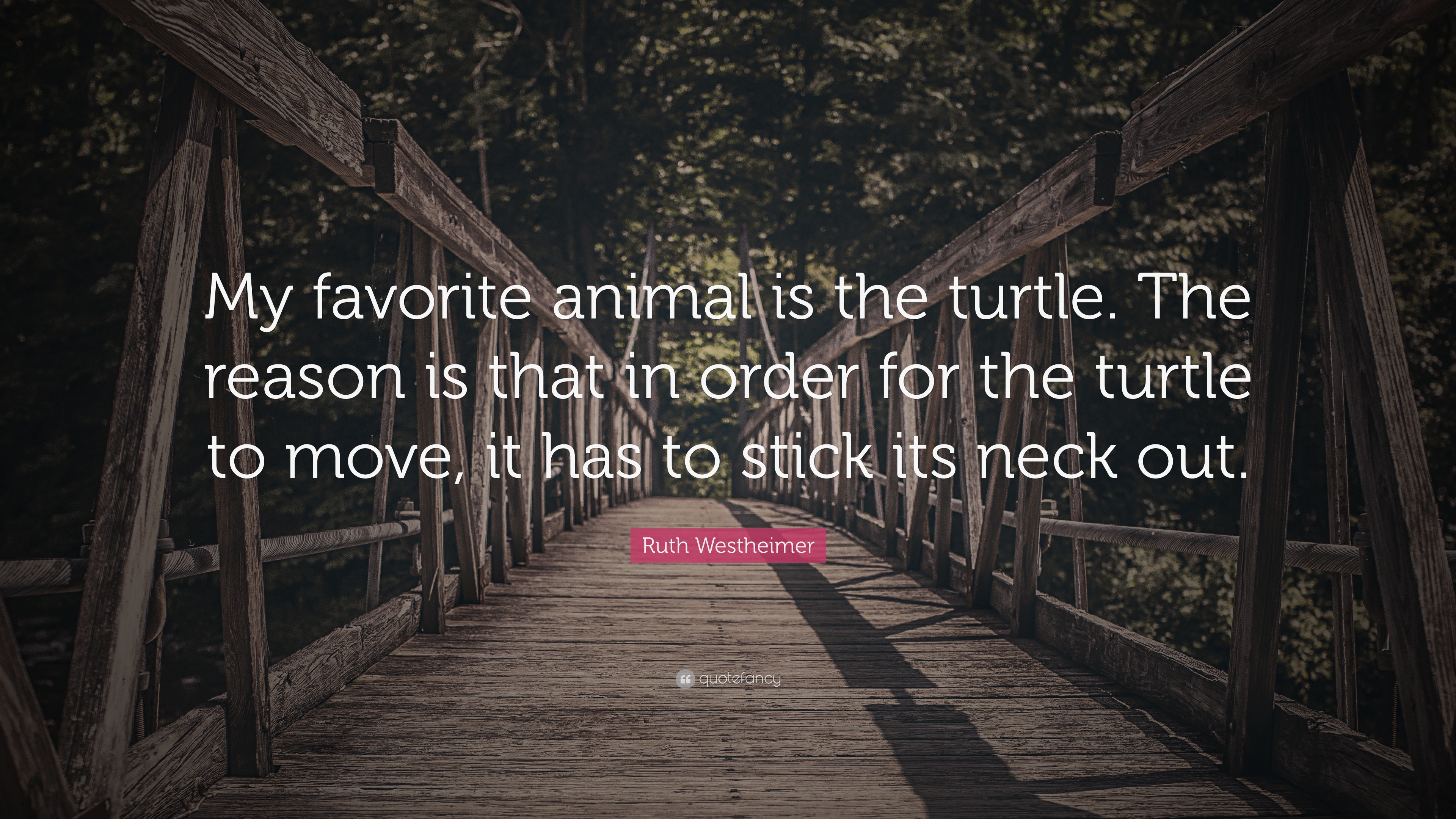Ruth Westheimer Quote “My favorite animal is the turtle. The reason is