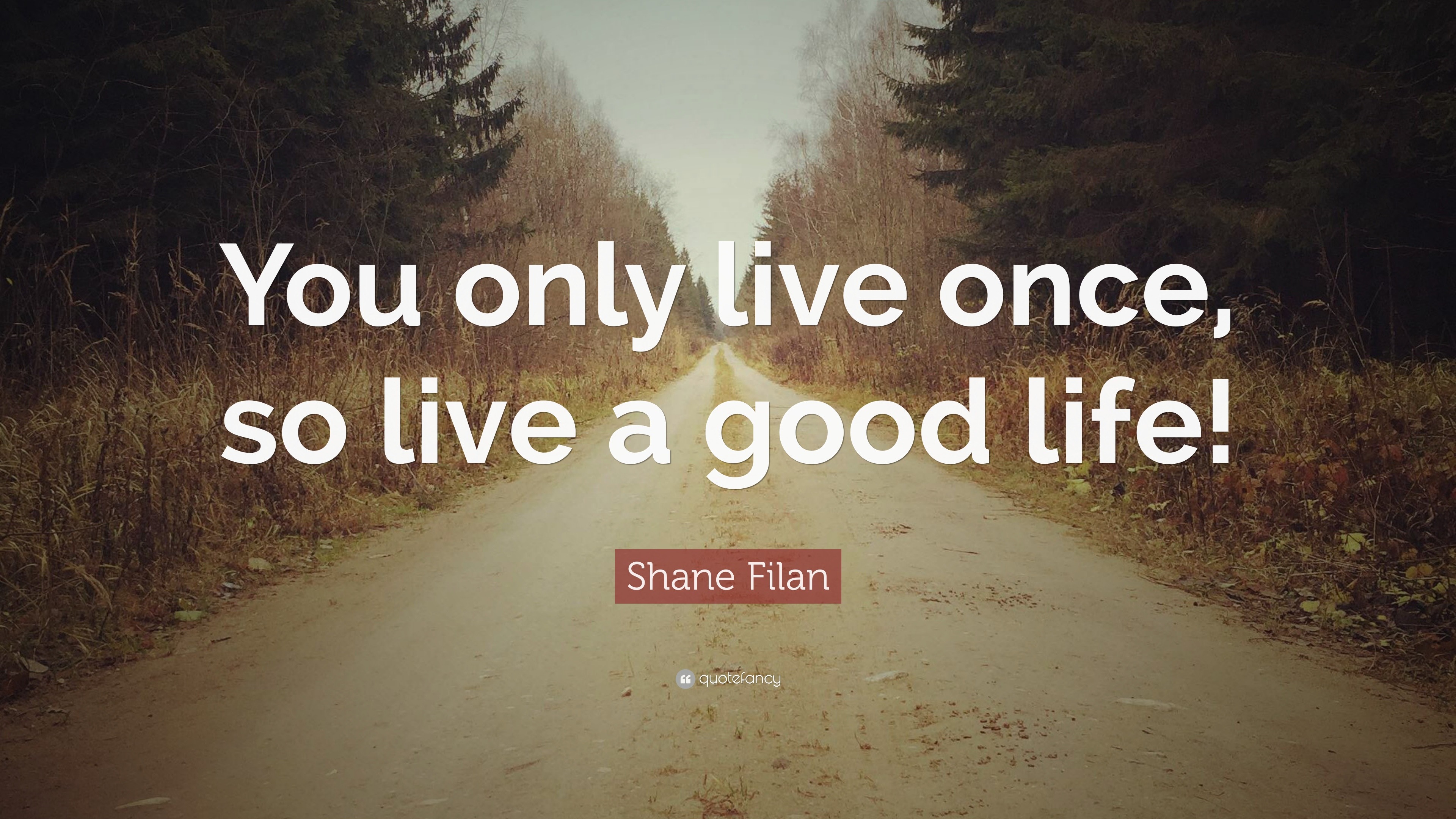 Shane Filan Quote You Only Live Once So Live A Good Life 