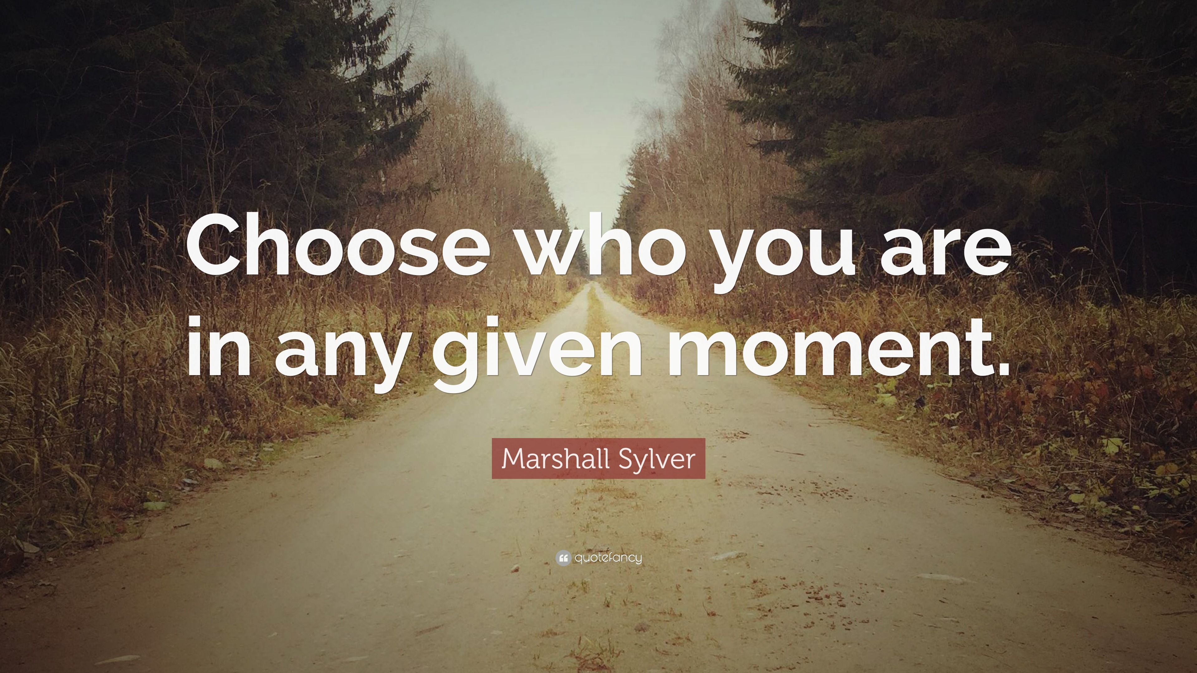 Marshall Sylver Quote: “Choose who you are in any given moment.”