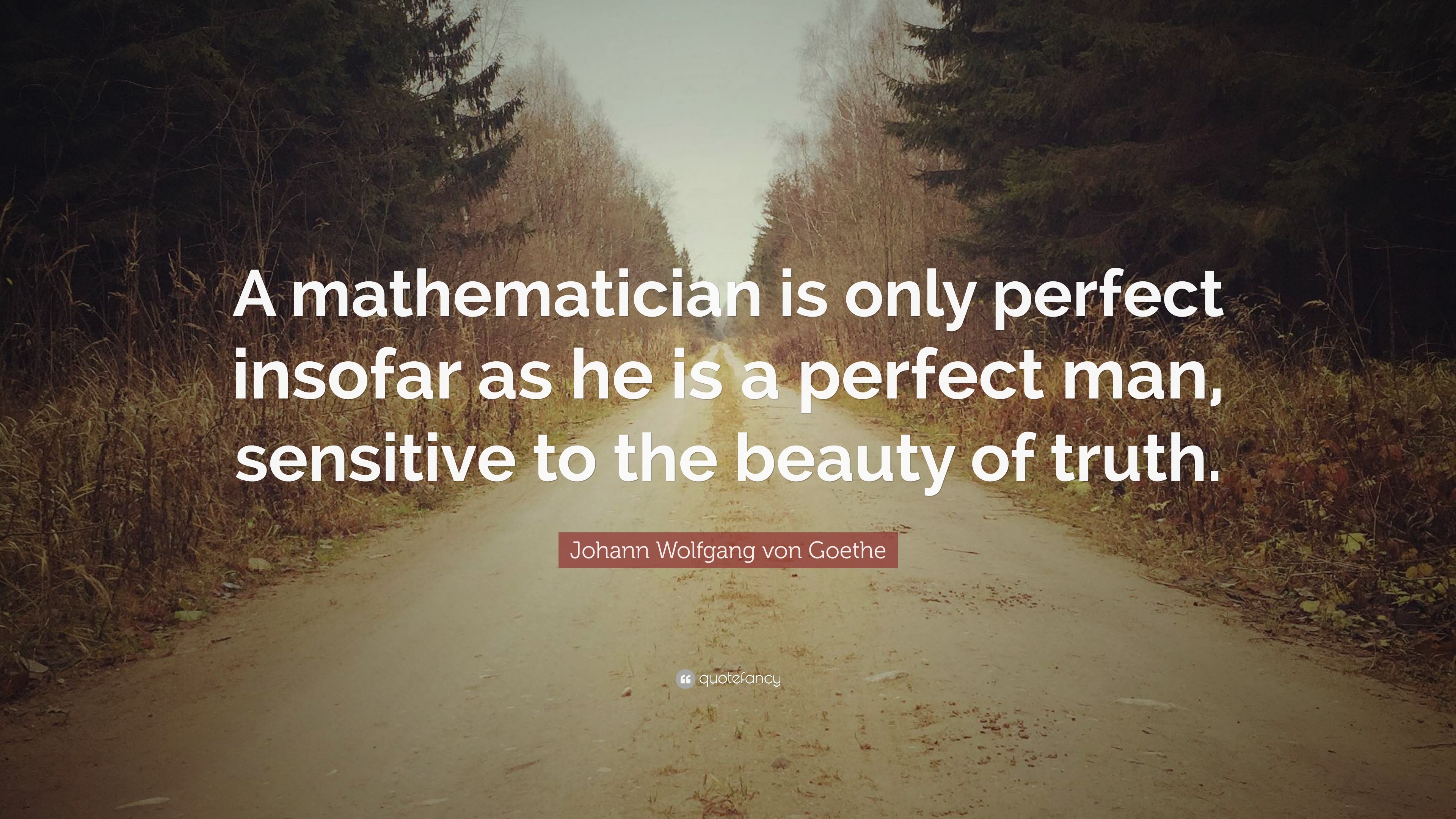 Johann Wolfgang von Goethe Quote: “A mathematician is only perfect ...