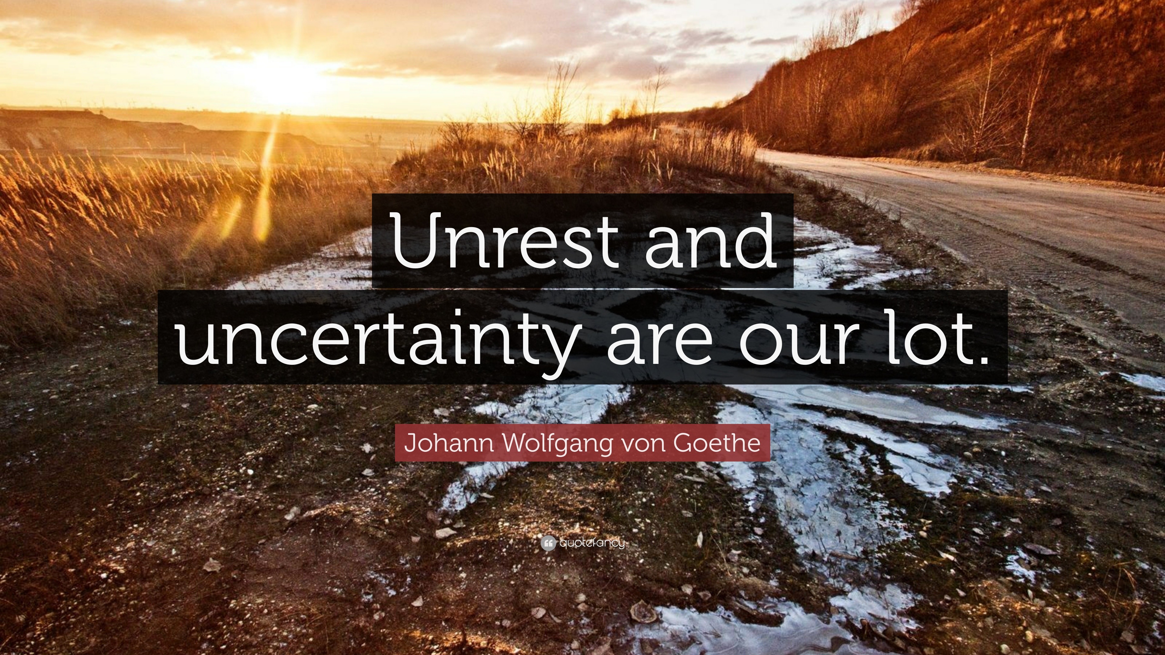 Johann Wolfgang von Goethe Quote: “Unrest and uncertainty are our lot.”