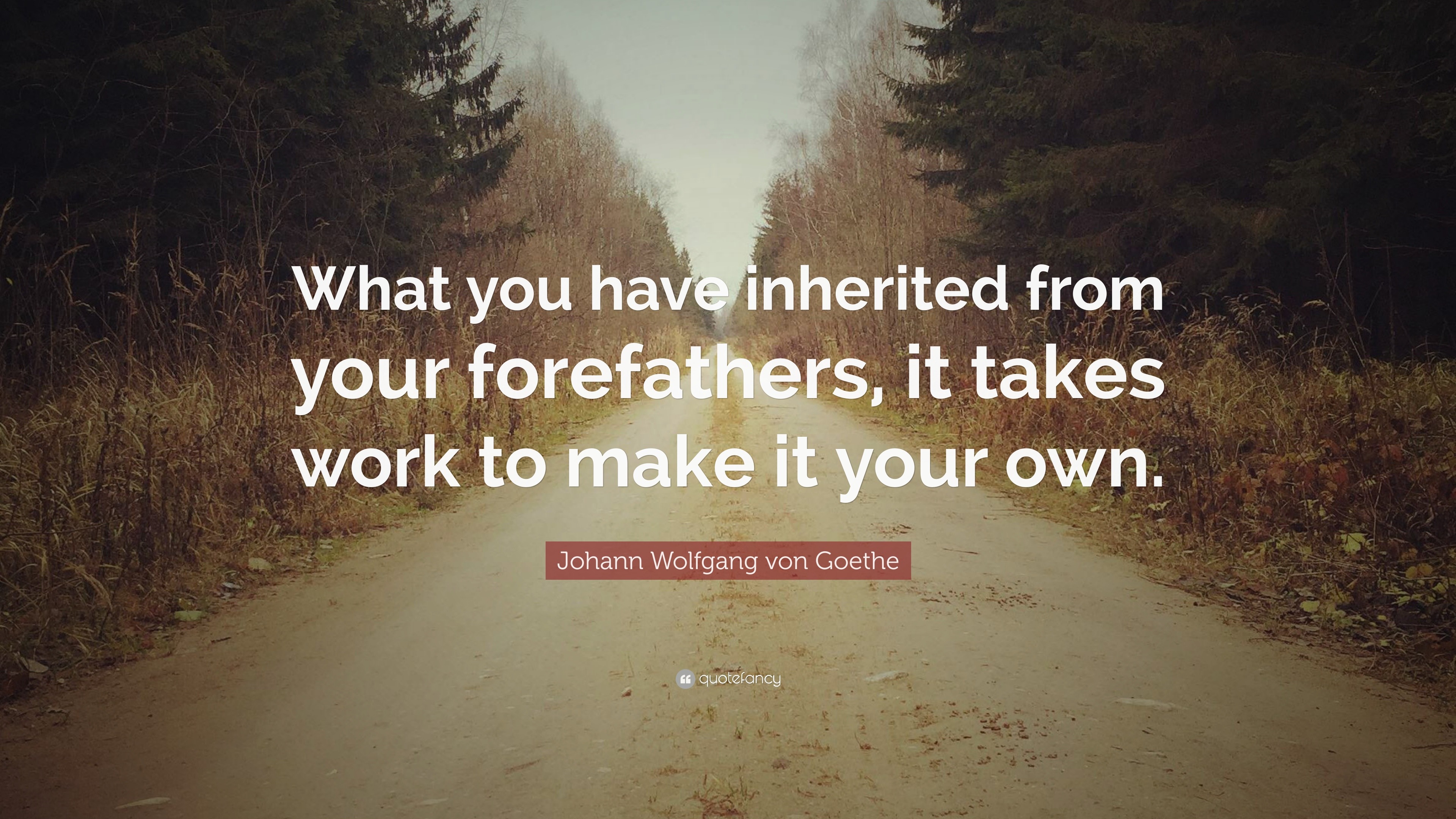 Johann Wolfgang von Goethe Quote: “What you have inherited from your ...