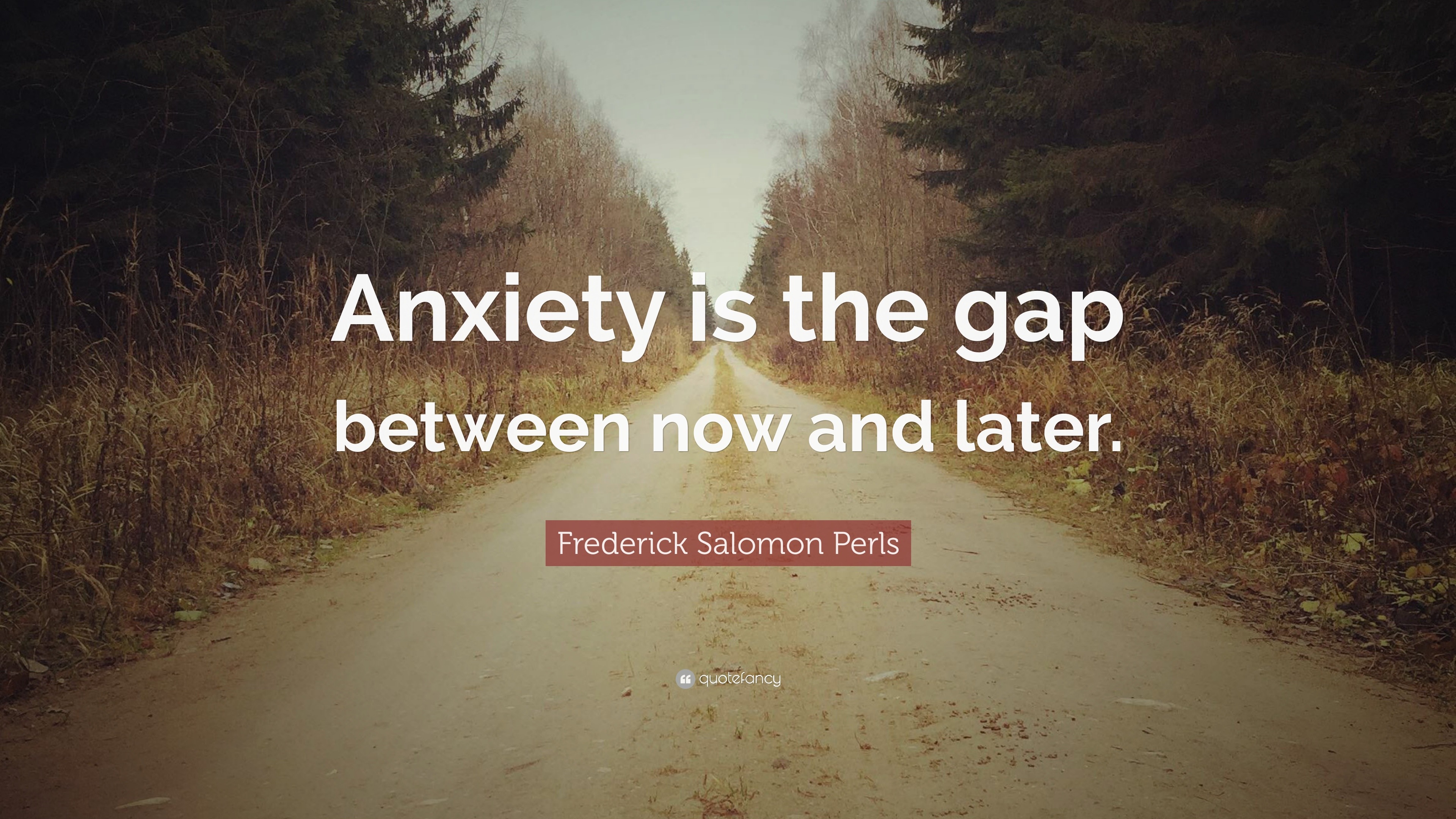 Frederick Salomon Perls Quote: “Anxiety is the gap between now and later.”