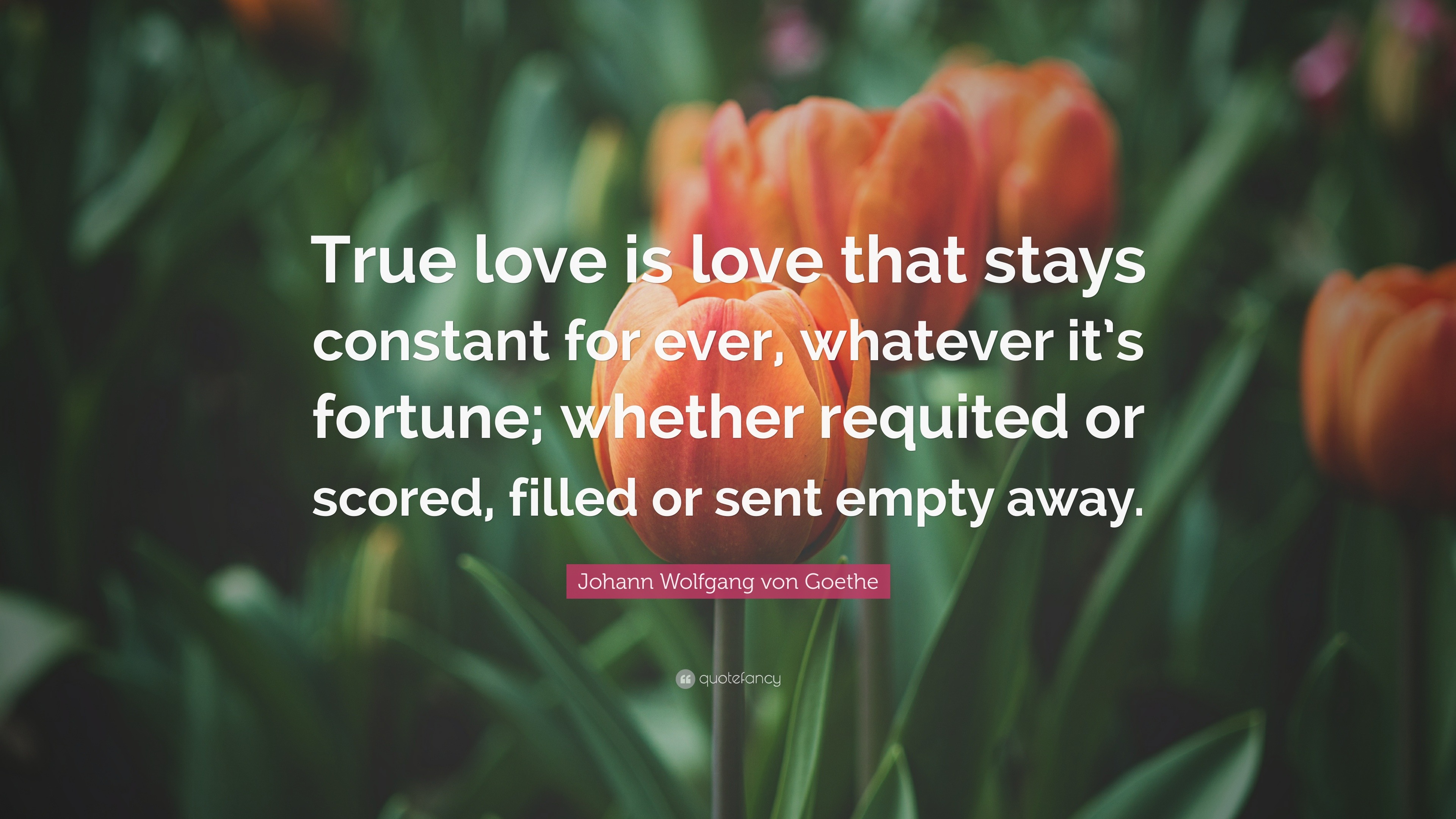 Johann Wolfgang von Goethe Quote: “True love is love that stays constant  for ever, whatever it's fortune; whether requited or scored, filled or sent  empty ”
