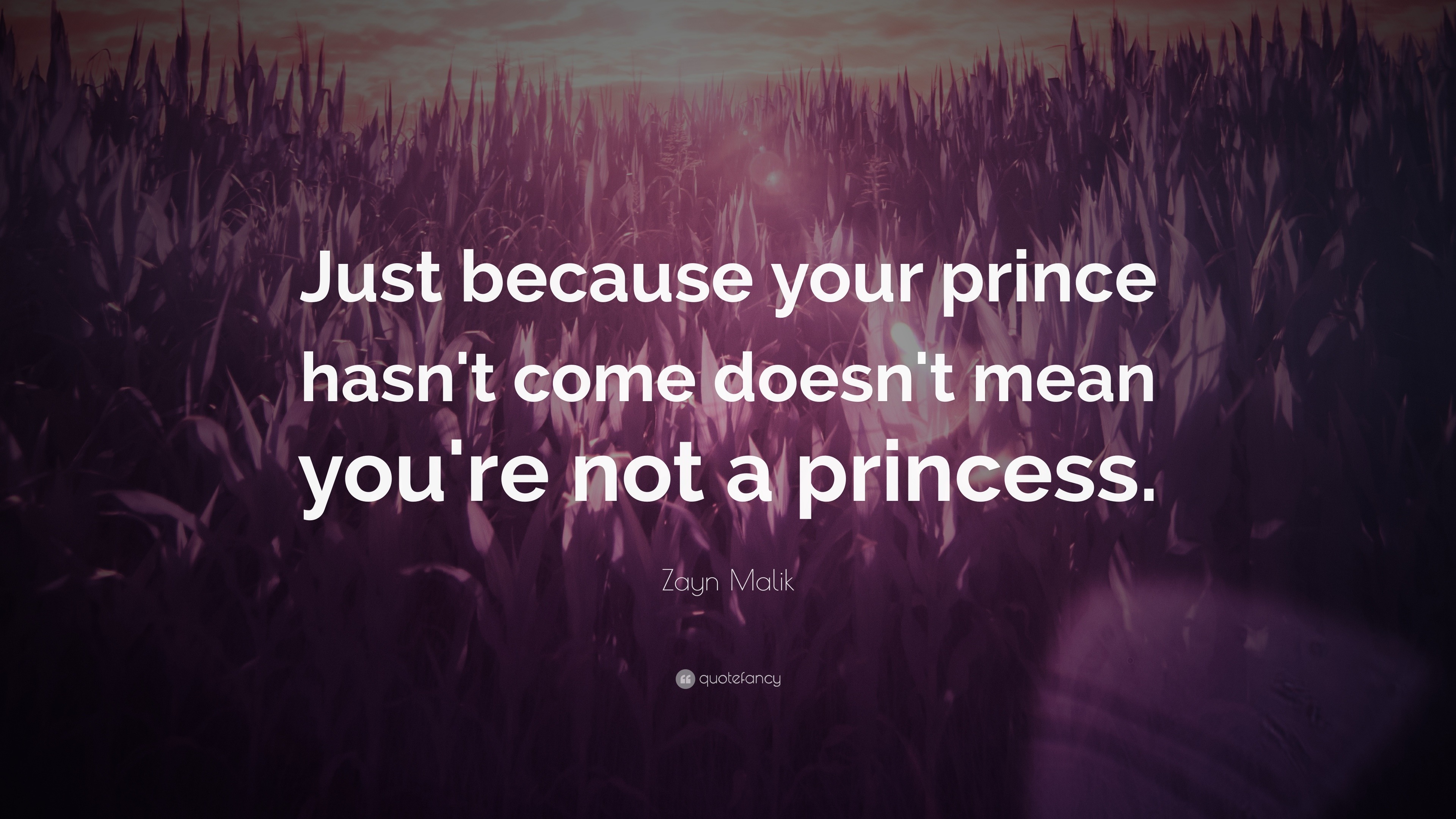 Zayn Malik Quote: “Just because your prince hasn't come doesn't mean ...