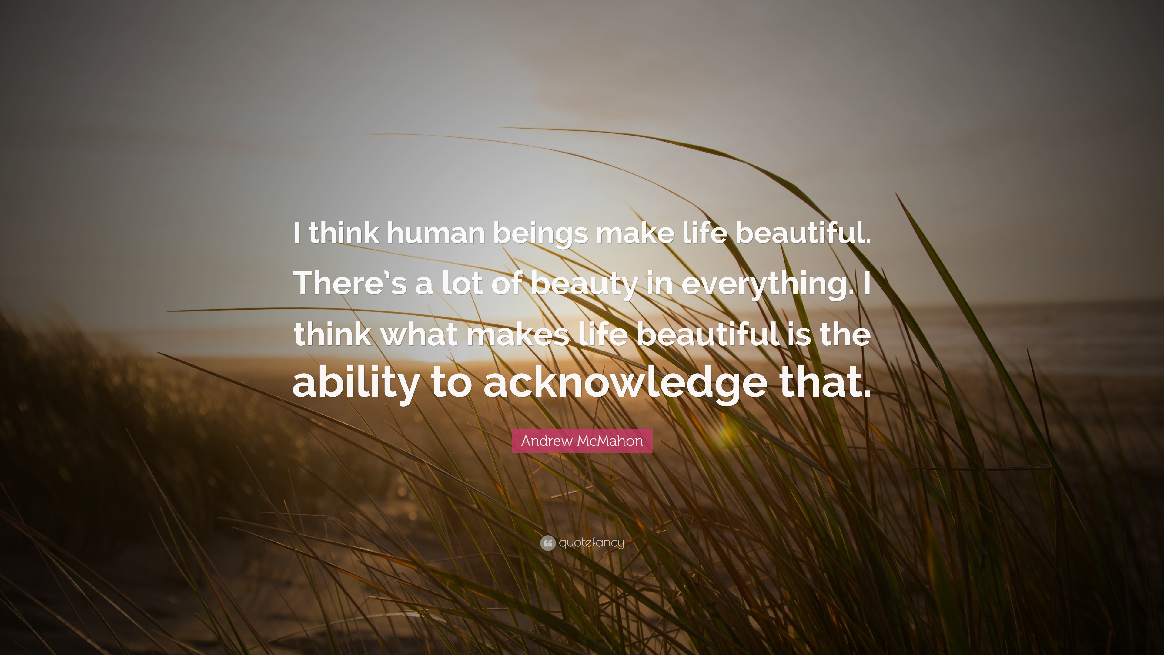 Andrew McMahon Quote “I think human beings make life beautiful There s a lot