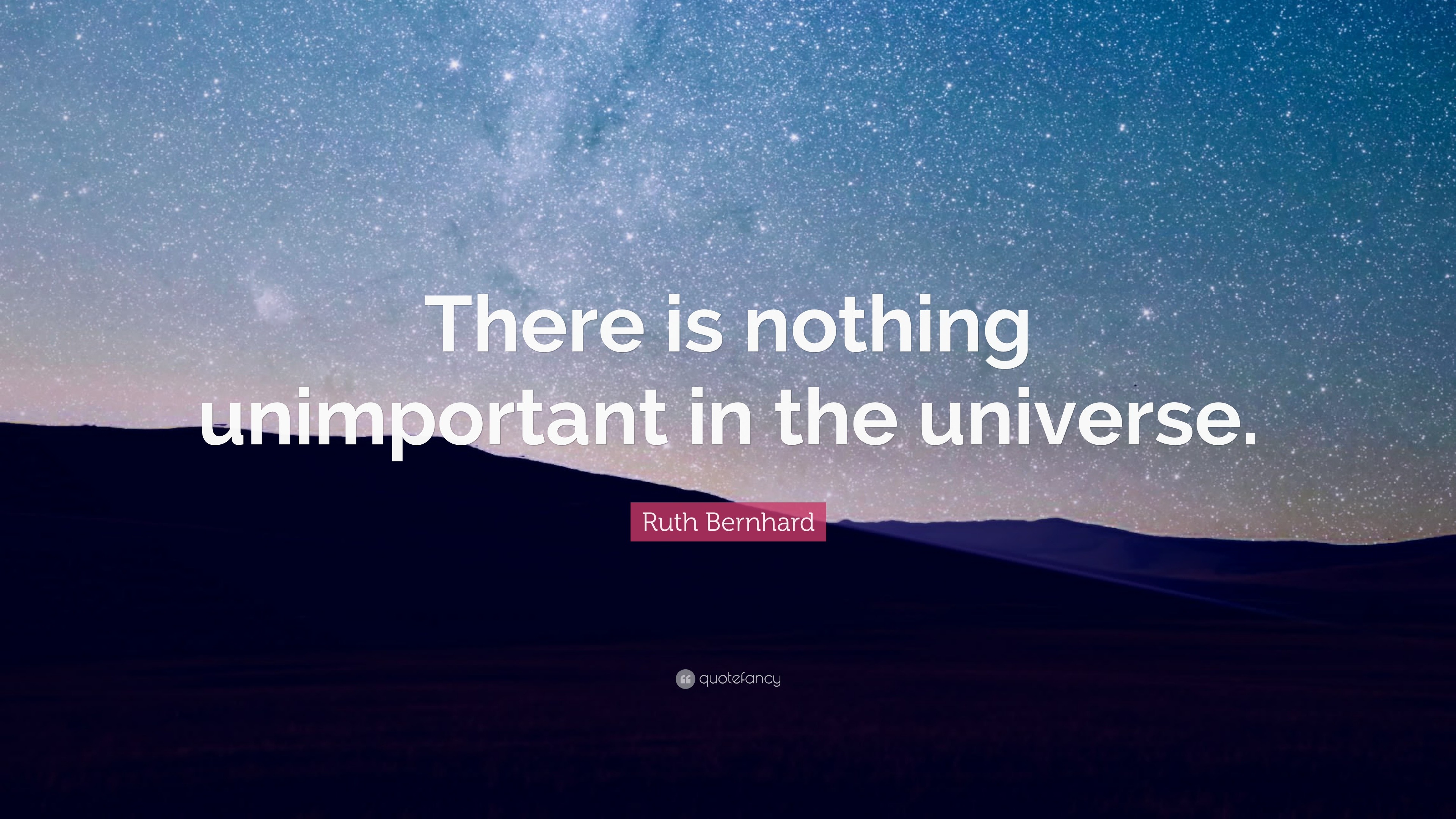 Ruth Bernhard Quote: “There is nothing unimportant in the universe.”