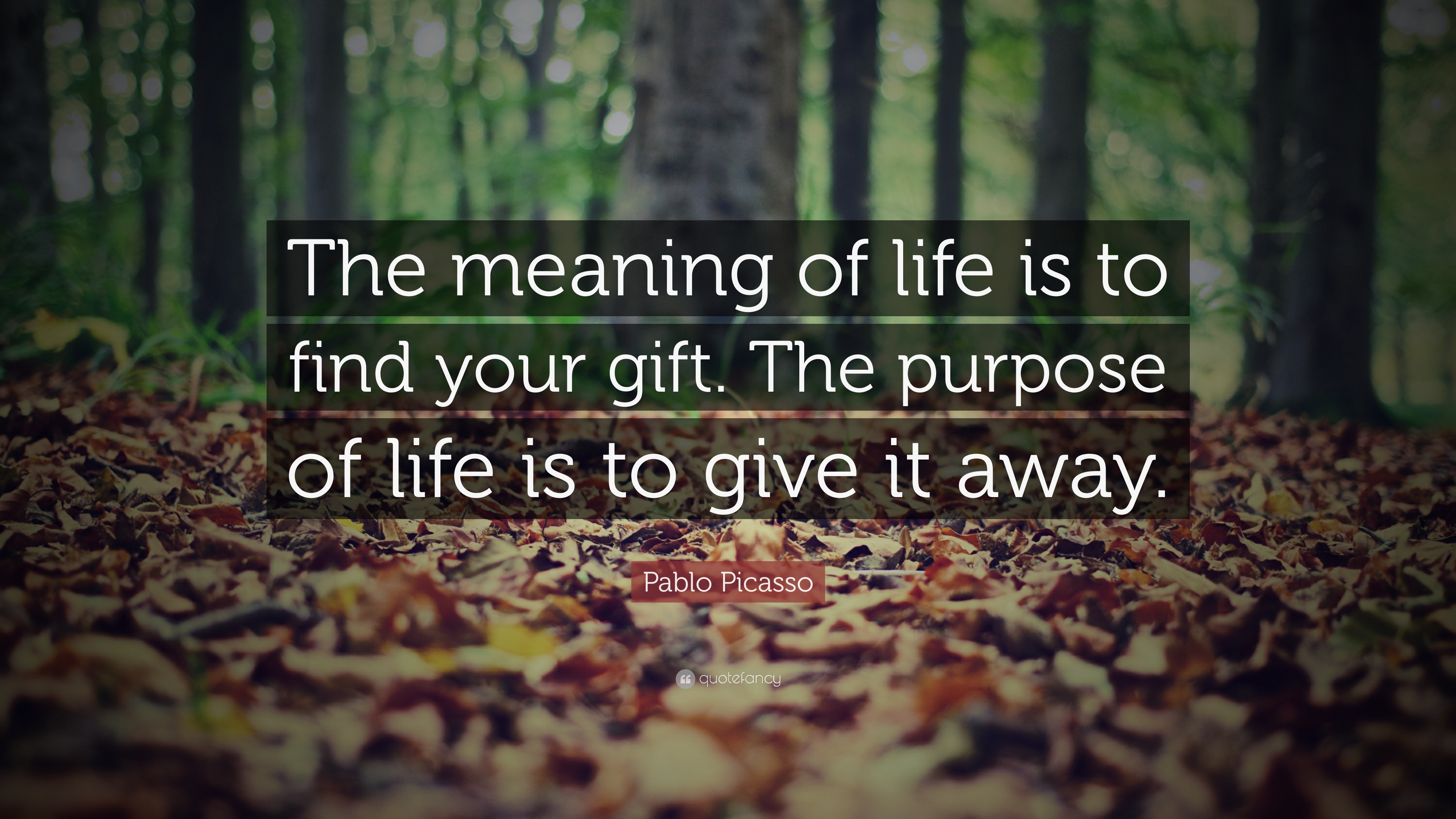 13110 Pablo Picasso Quote The meaning of life is to find your gift The
