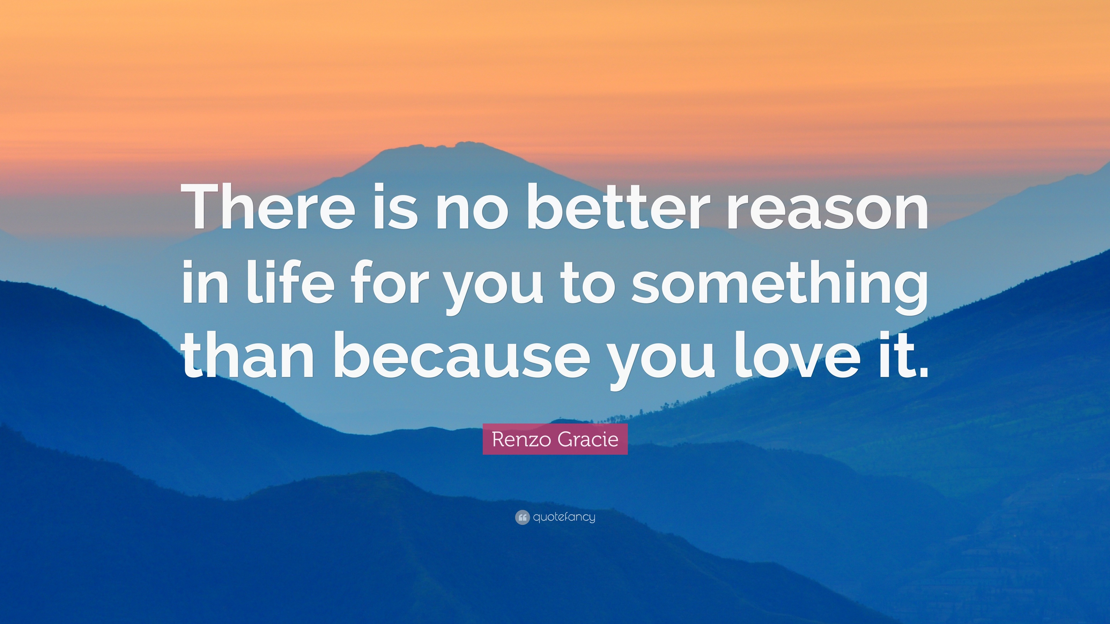 Renzo Gracie Quote: “There is no better reason in life for you to ...