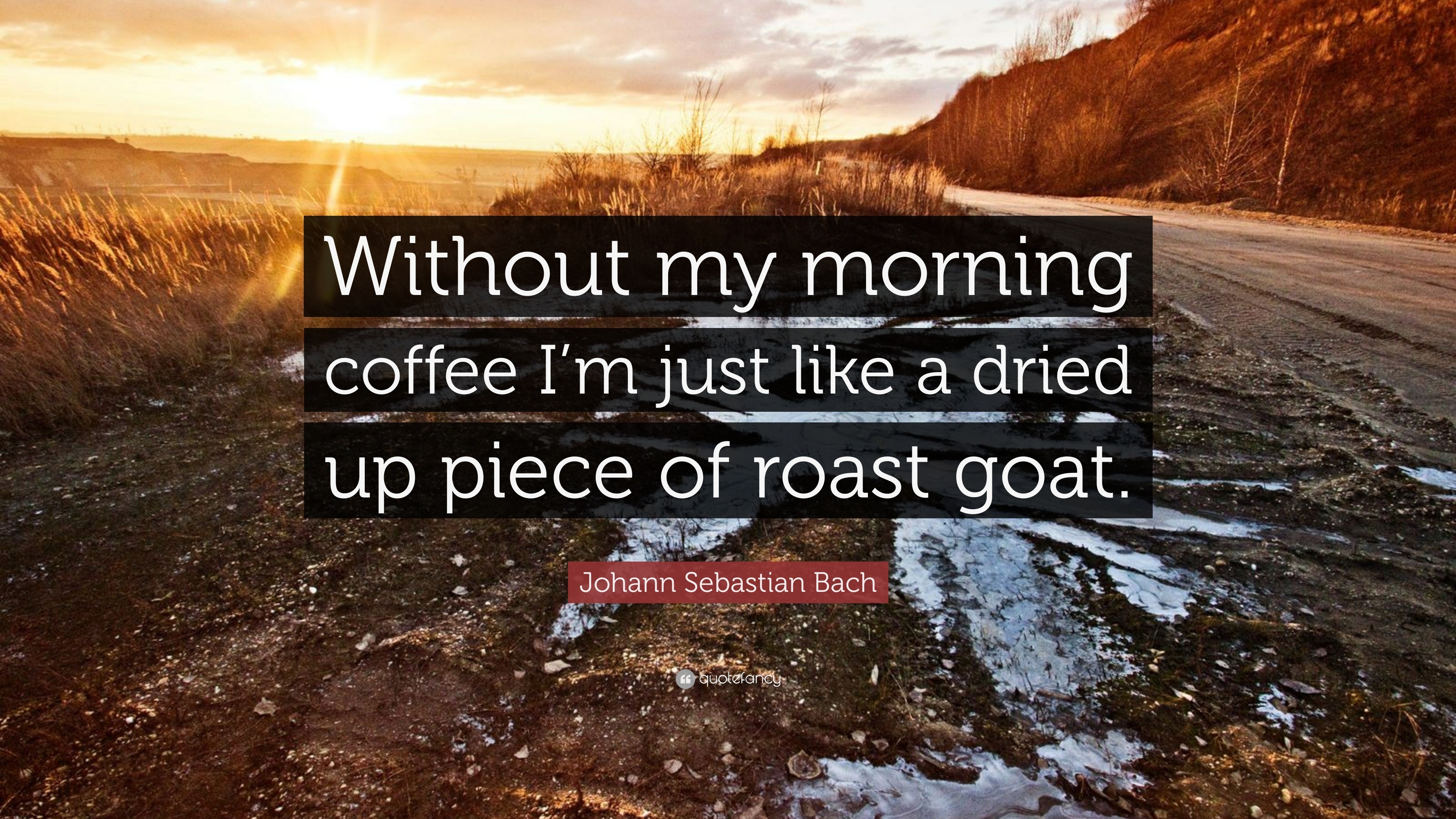 Johann Sebastian Bach Quote: “Without my morning coffee I’m just like a ...