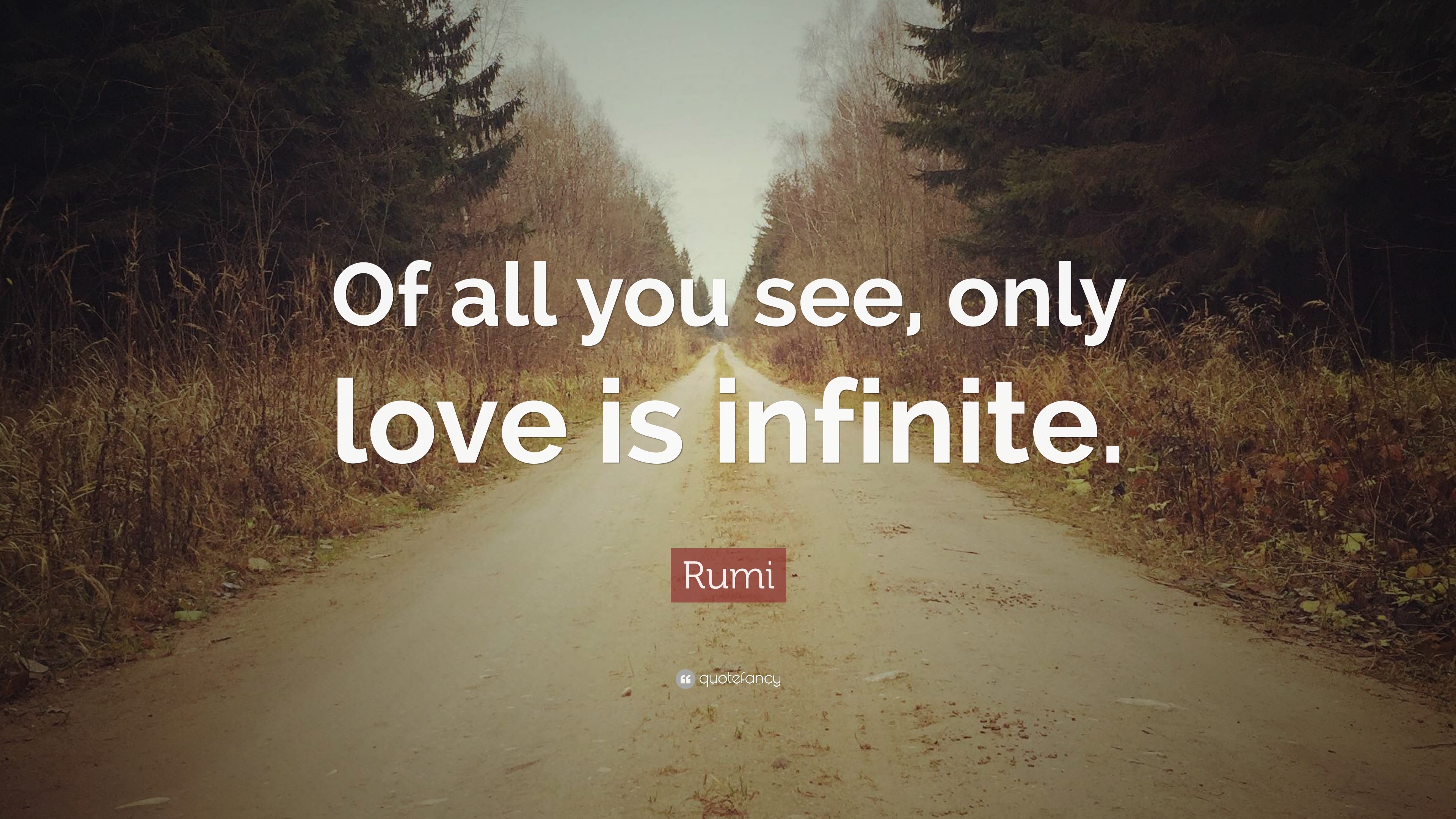 Love Is Infinite Quotes