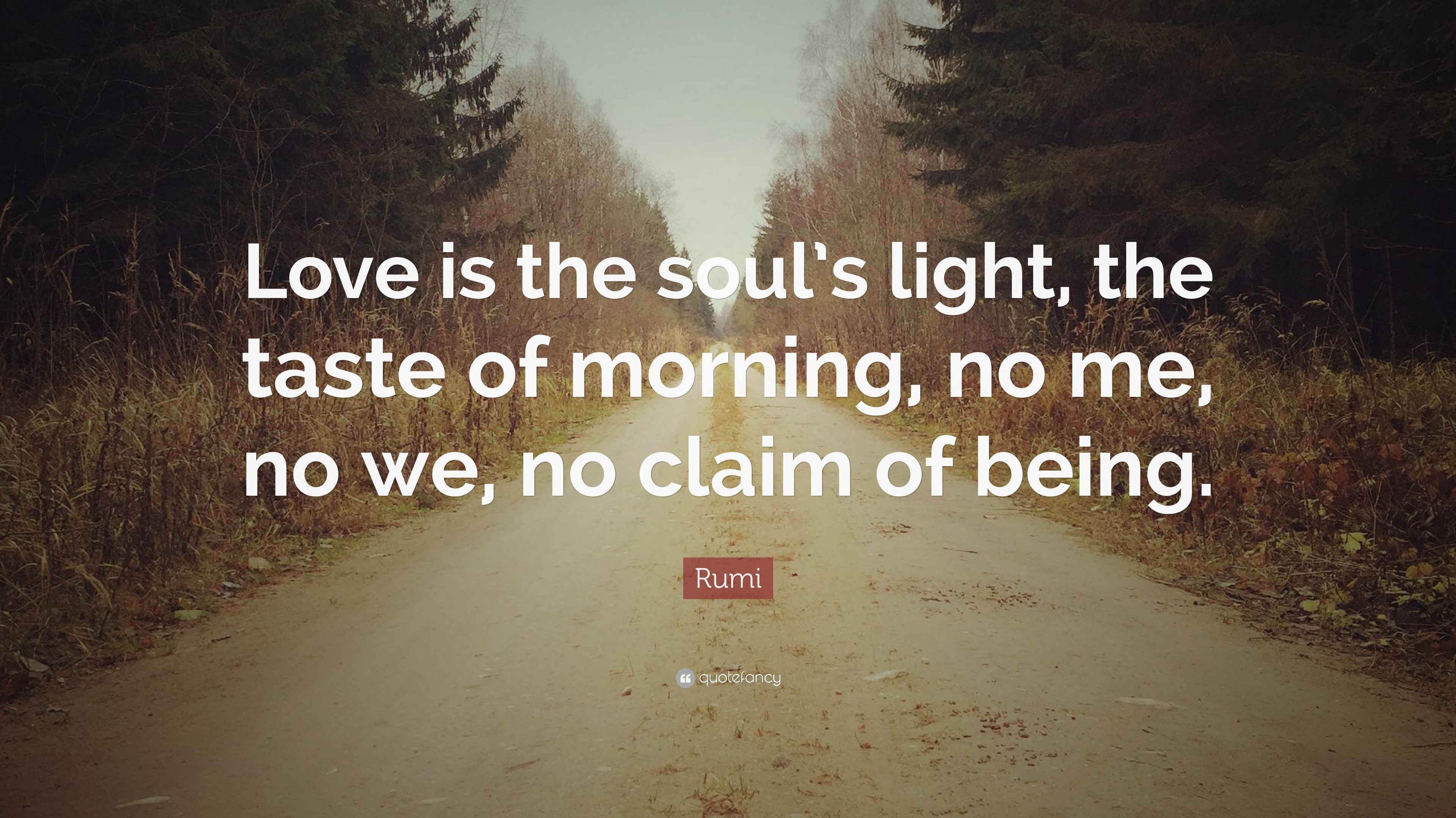 Rumi Quote “Love is the soul’s light, the taste of