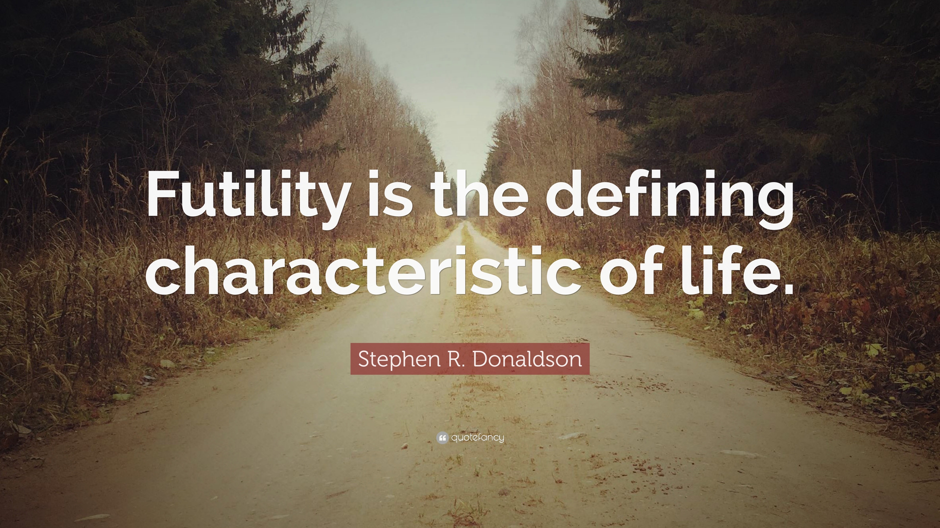 Stephen R. Donaldson Quote: “Futility is the defining characteristic of
