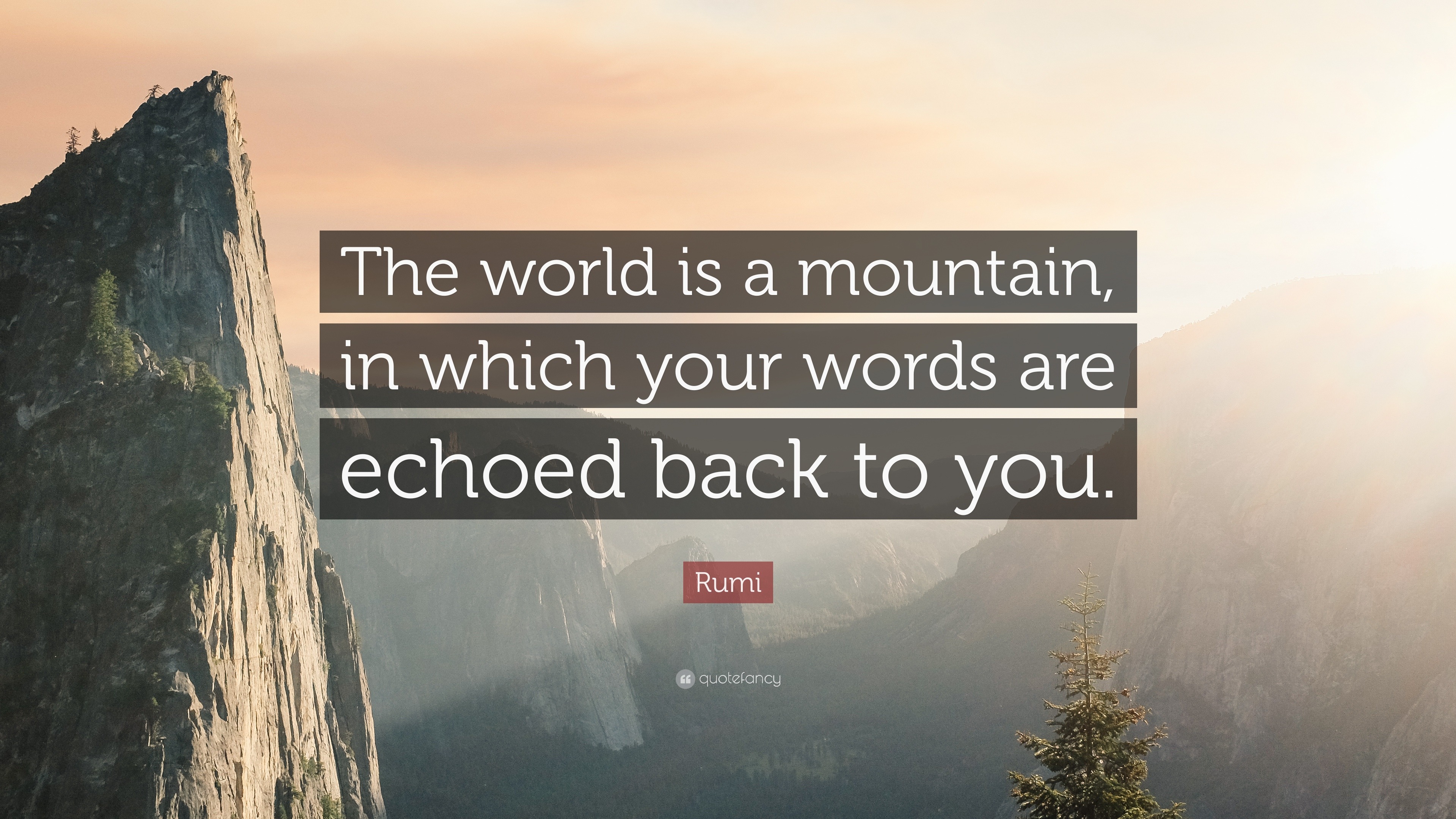 Rumi Quote: “The world is a mountain, in which your words are echoed ...